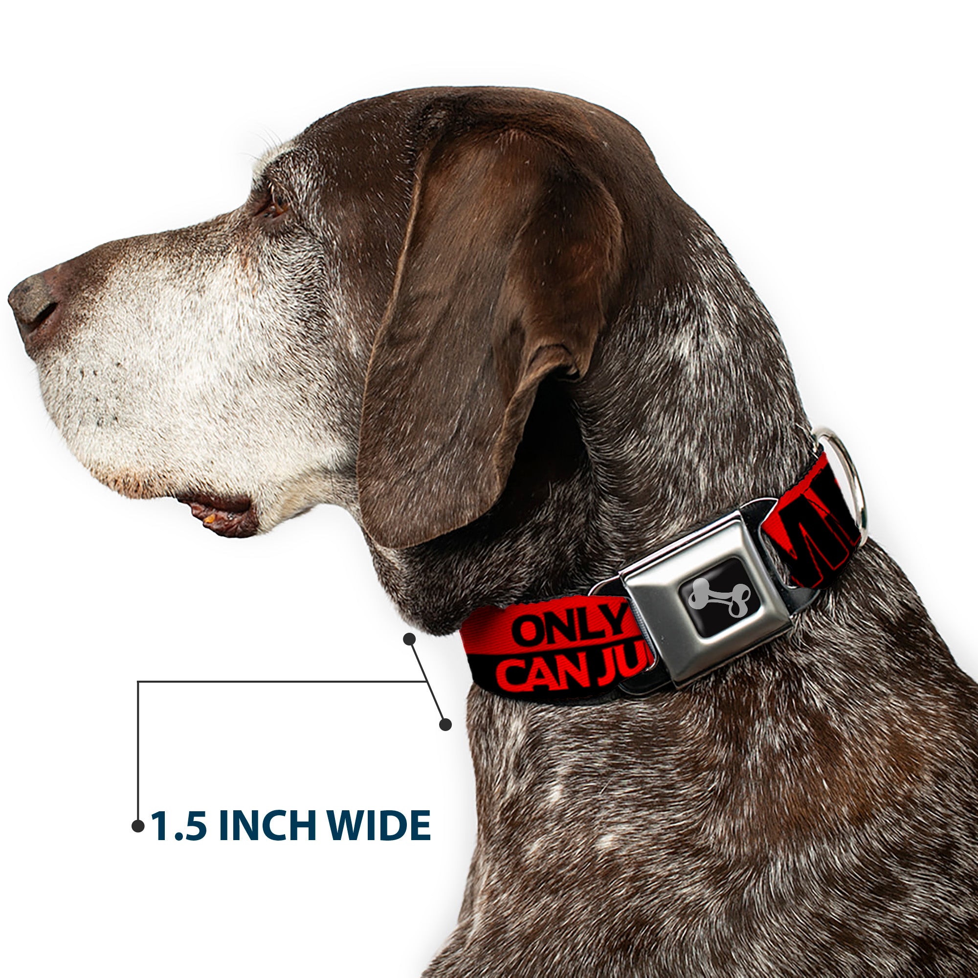 Dog Bone Seatbelt Buckle Collar - ONLY GOD CAN JUDGE ME/Stripe Red/Black/Red Seatbelt Buckle Collars Buckle-Down