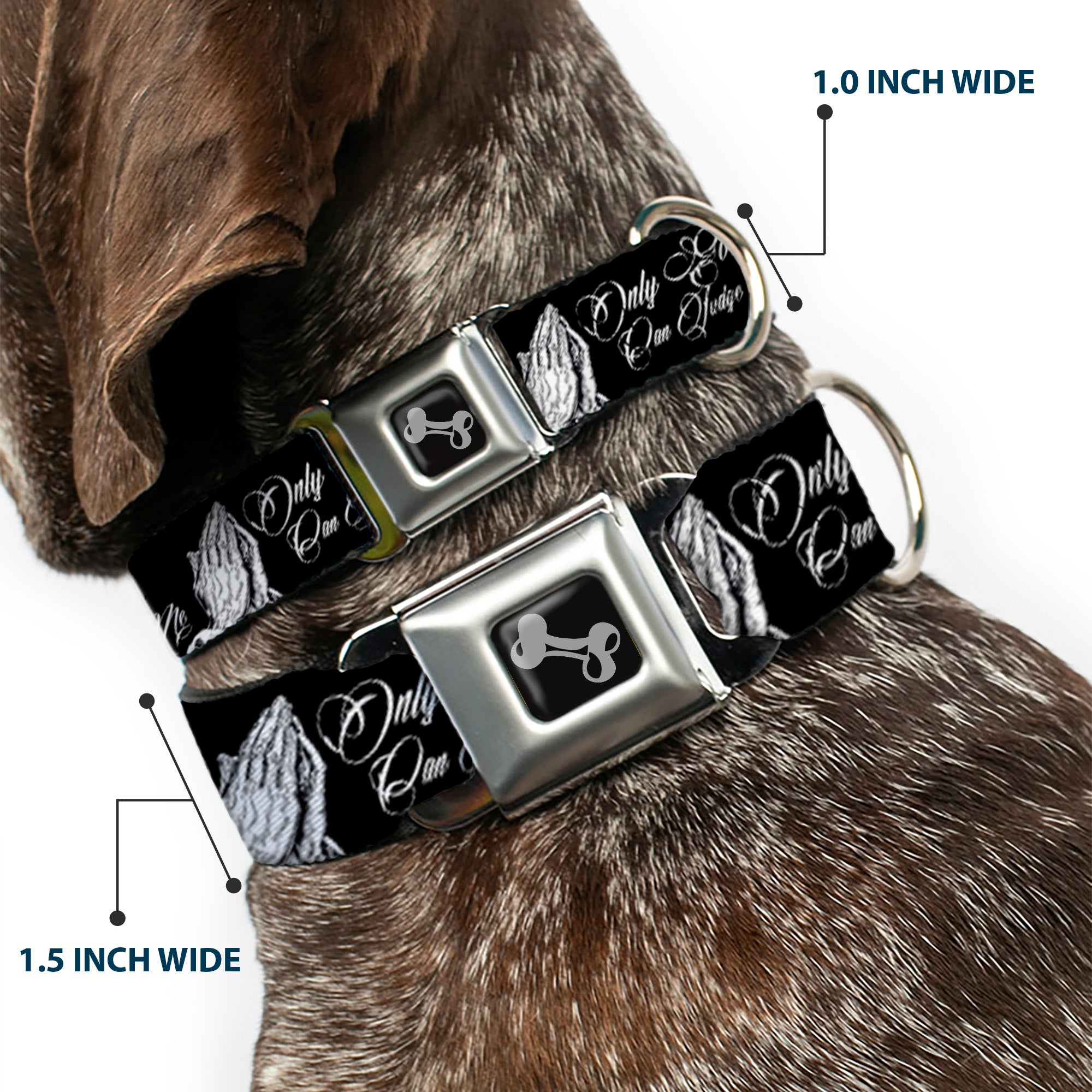Dog Bone Black/Silver Seatbelt Buckle Collar - ONLY GOD CAN JUDGE ME Script/Praying Hands Black/White Seatbelt Buckle Collars Buckle-Down