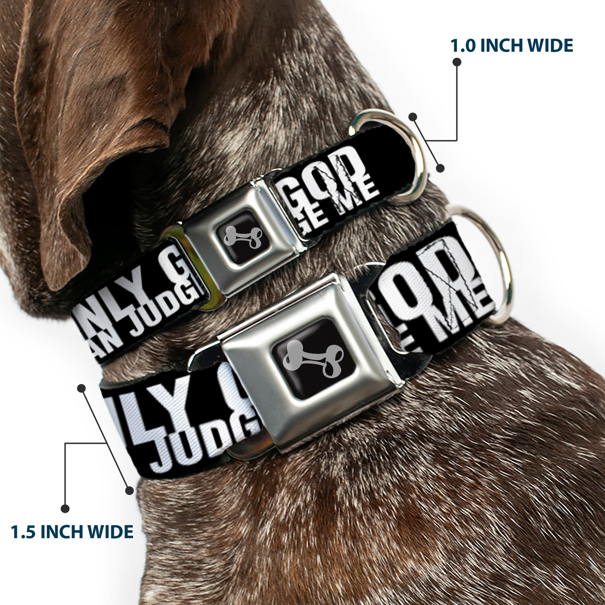 Dog Bone Seatbelt Buckle Collar - ONLY GOD CAN JUDGE ME Bold Black/White Seatbelt Buckle Collars Buckle-Down