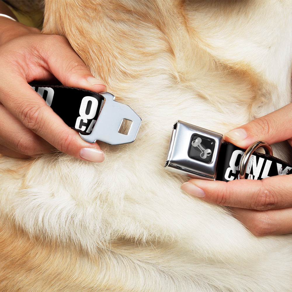 Dog Bone Seatbelt Buckle Collar - ONLY GOD CAN JUDGE ME Bold Black/White Seatbelt Buckle Collars Buckle-Down