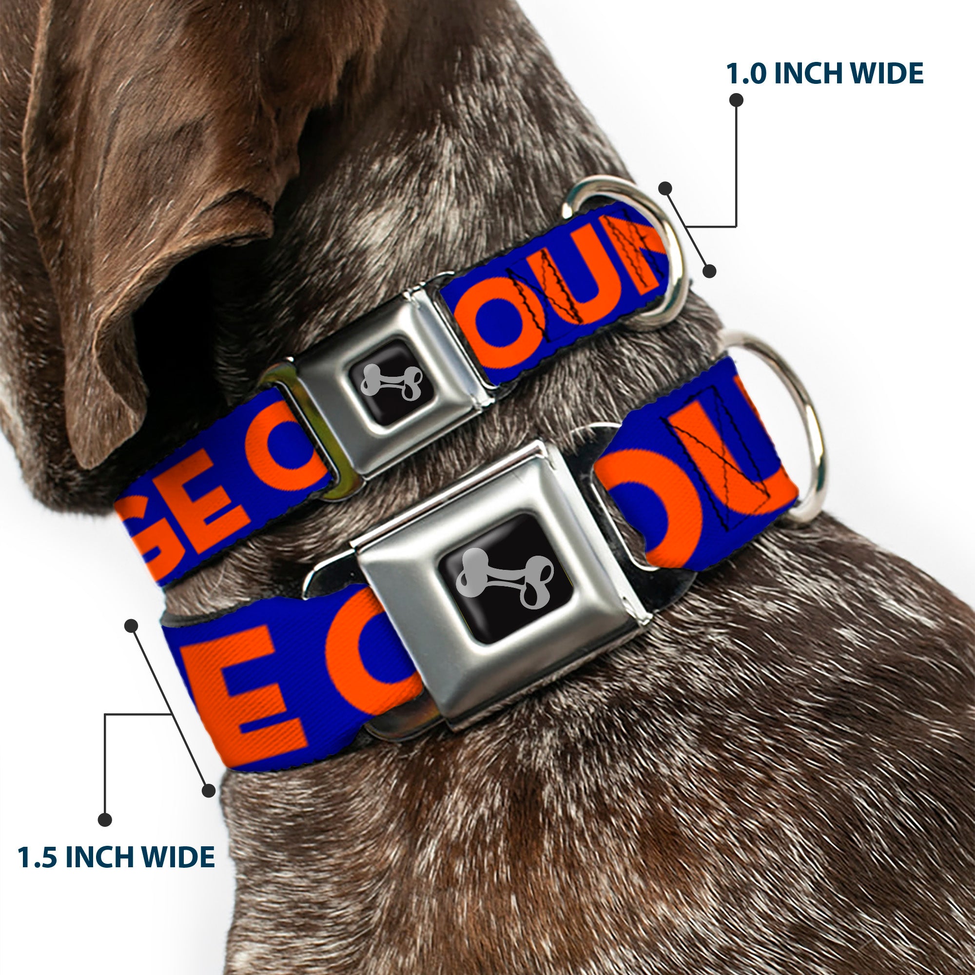 Dog Bone Seatbelt Buckle Collar - ORANGE COUNTY/Wave Icon Blue/Orange Seatbelt Buckle Collars Buckle-Down