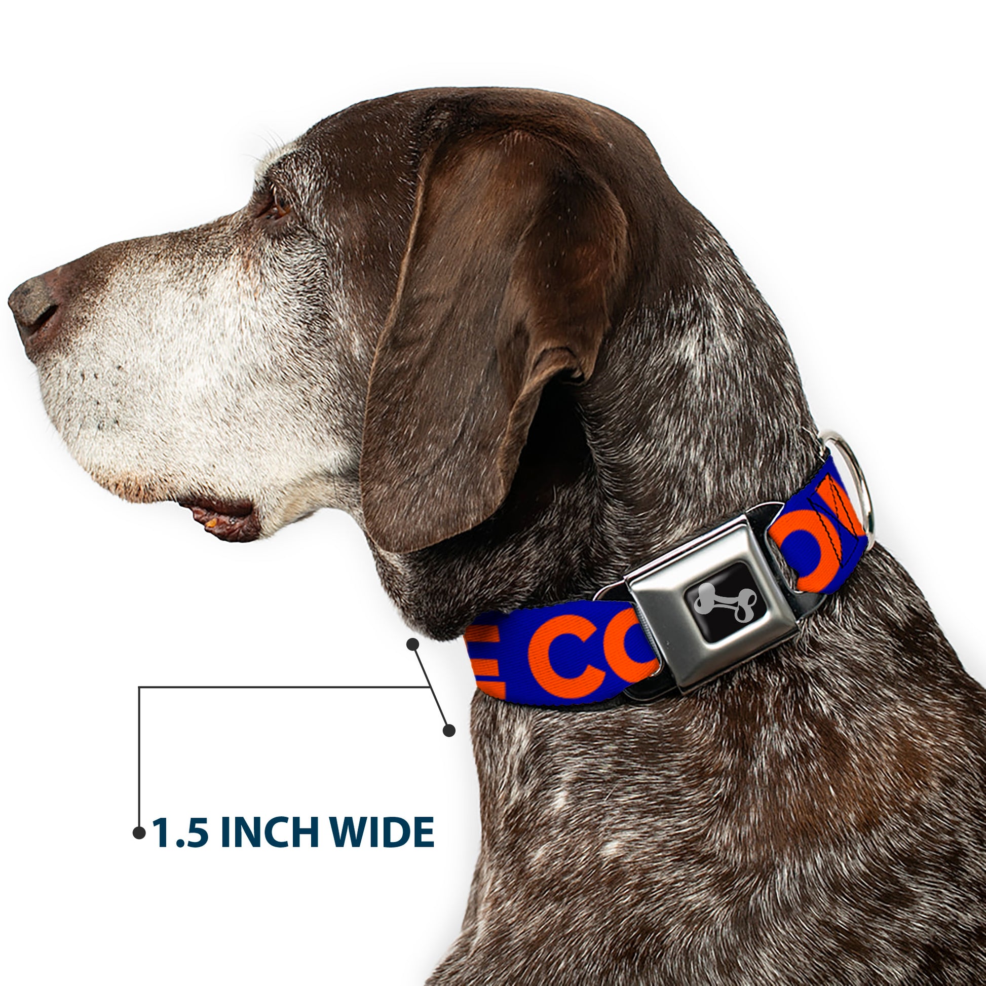 Dog Bone Seatbelt Buckle Collar - ORANGE COUNTY/Wave Icon Blue/Orange Seatbelt Buckle Collars Buckle-Down