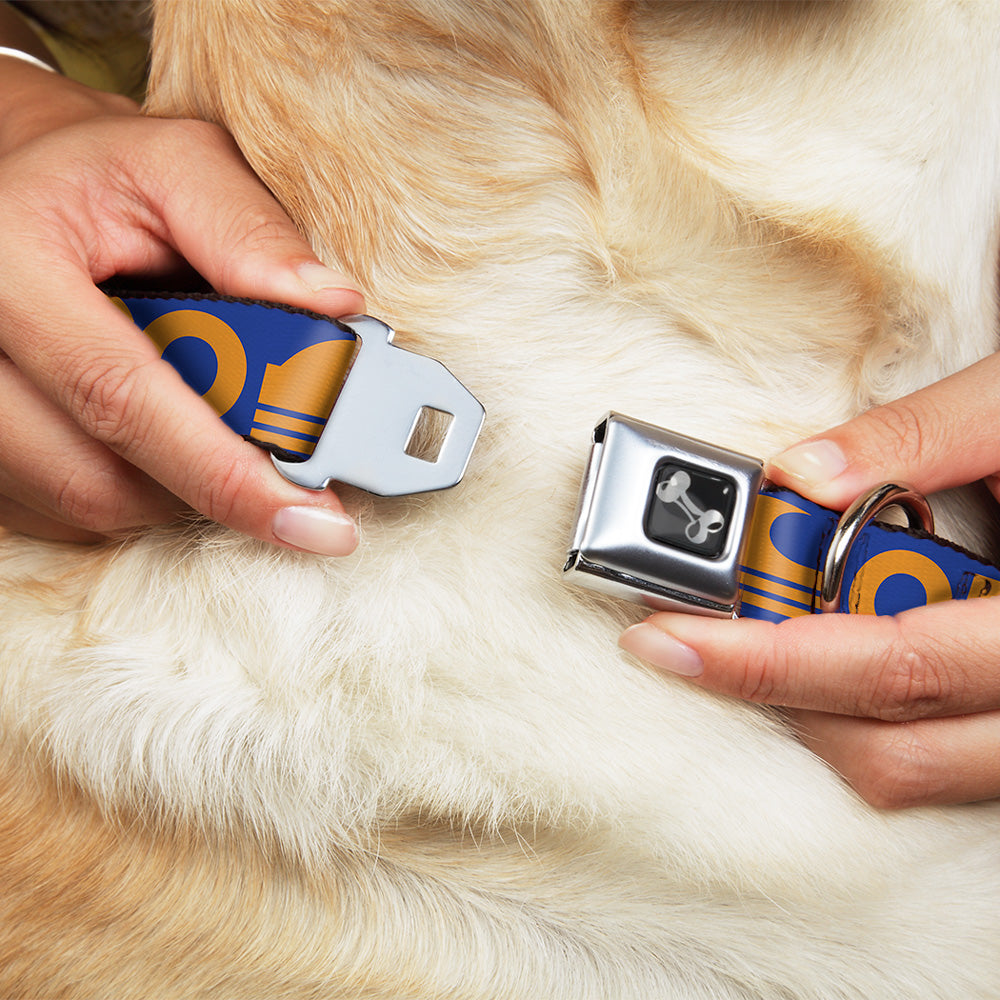 Dog Bone Seatbelt Buckle Collar - ORANGE COUNTY/Wave Icon Blue/Orange Seatbelt Buckle Collars Buckle-Down