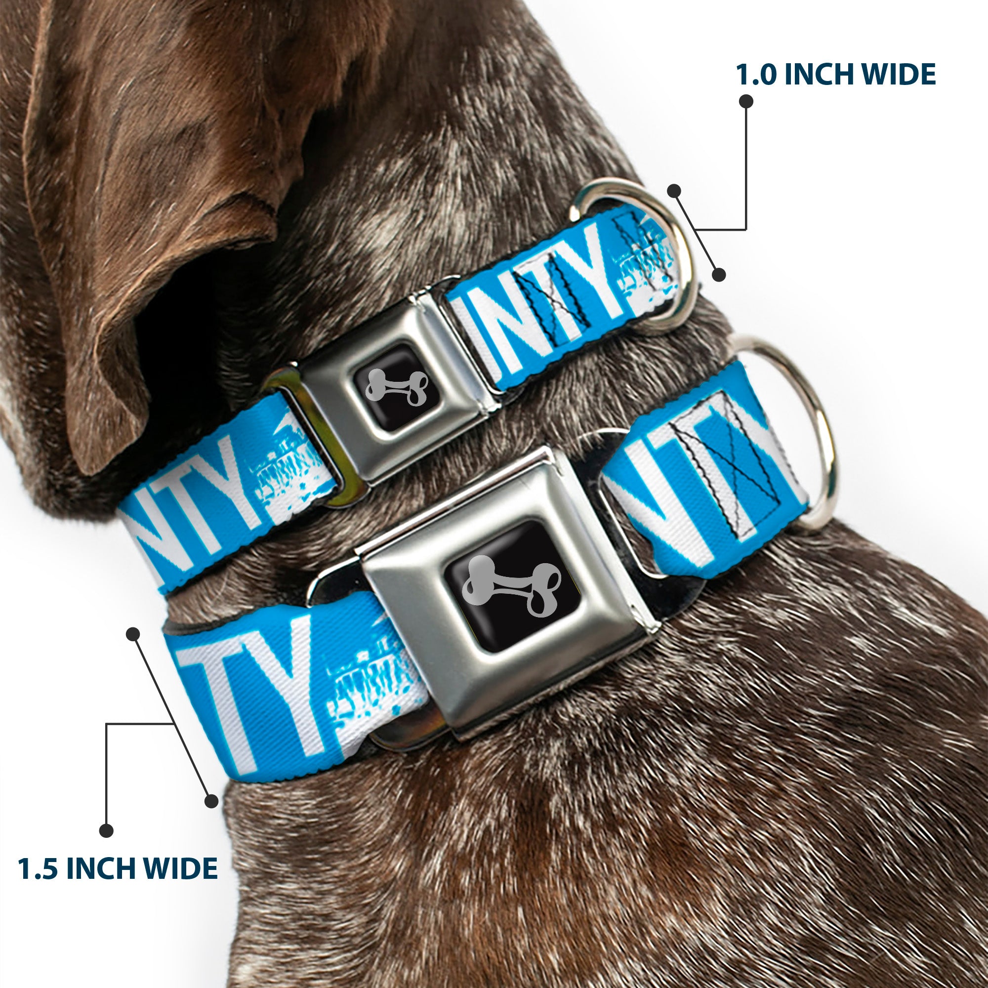 Dog Bone Seatbelt Buckle Collar - ORANGE COUNTY/Pier Scene Blue/White Seatbelt Buckle Collars Buckle-Down