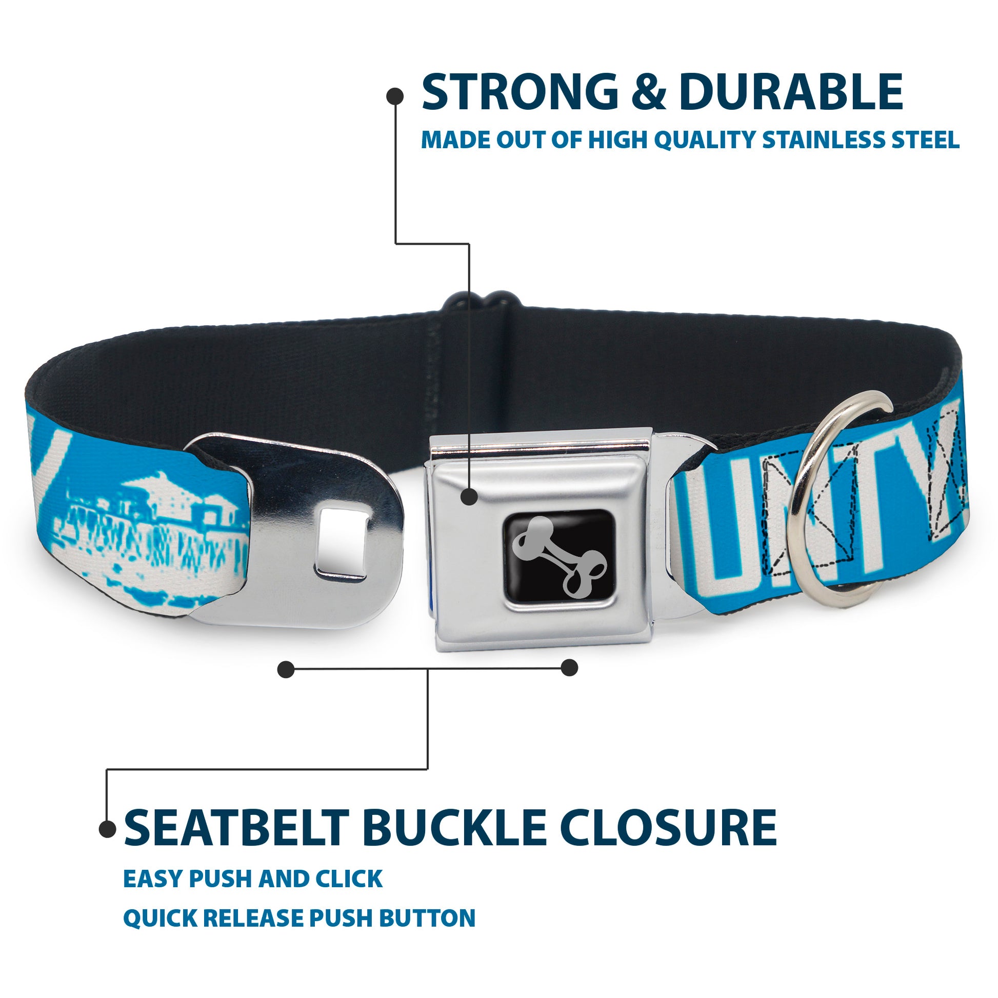 Dog Bone Seatbelt Buckle Collar - ORANGE COUNTY/Pier Scene Blue/White Seatbelt Buckle Collars Buckle-Down
