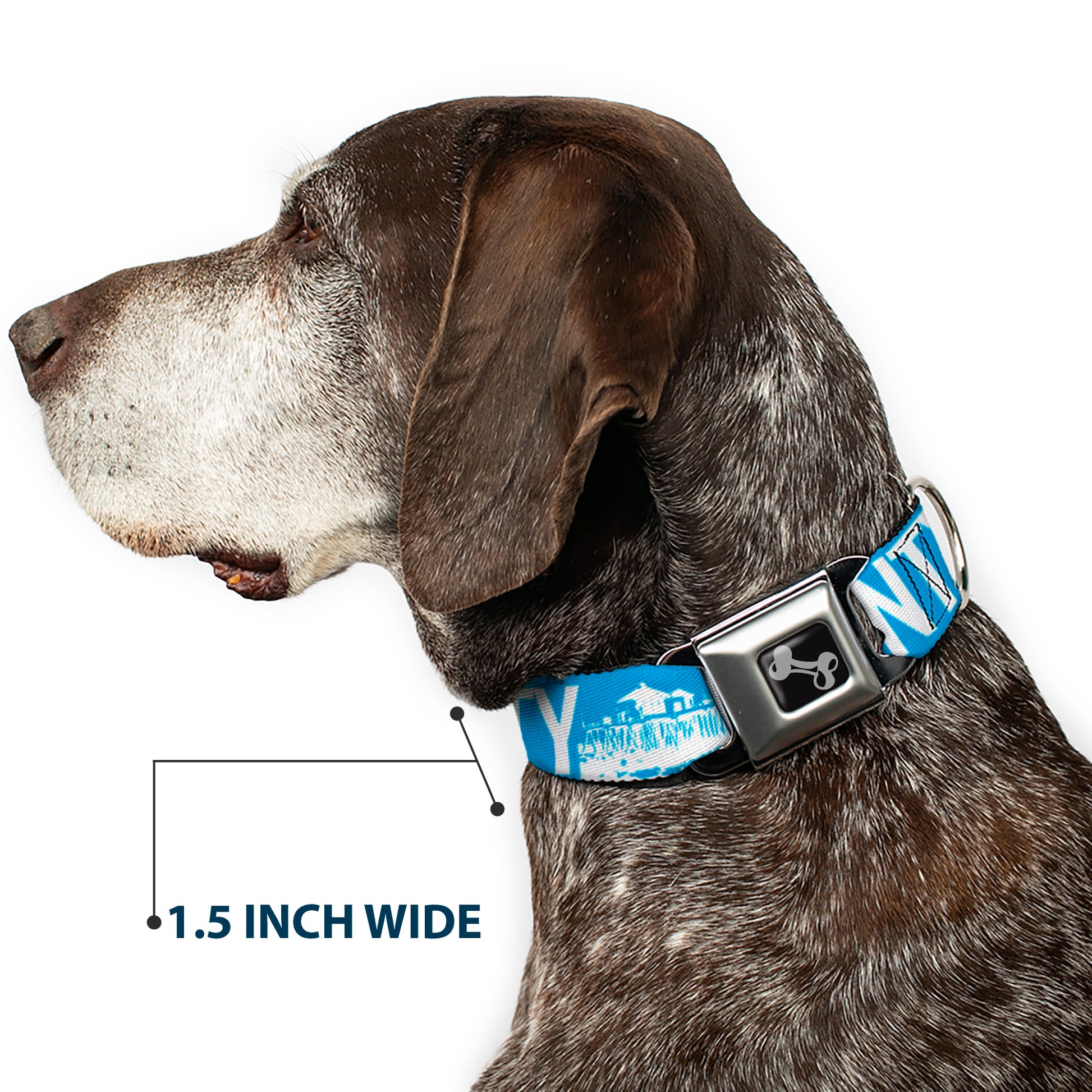 Dog Bone Seatbelt Buckle Collar - ORANGE COUNTY/Pier Scene Blue/White Seatbelt Buckle Collars Buckle-Down