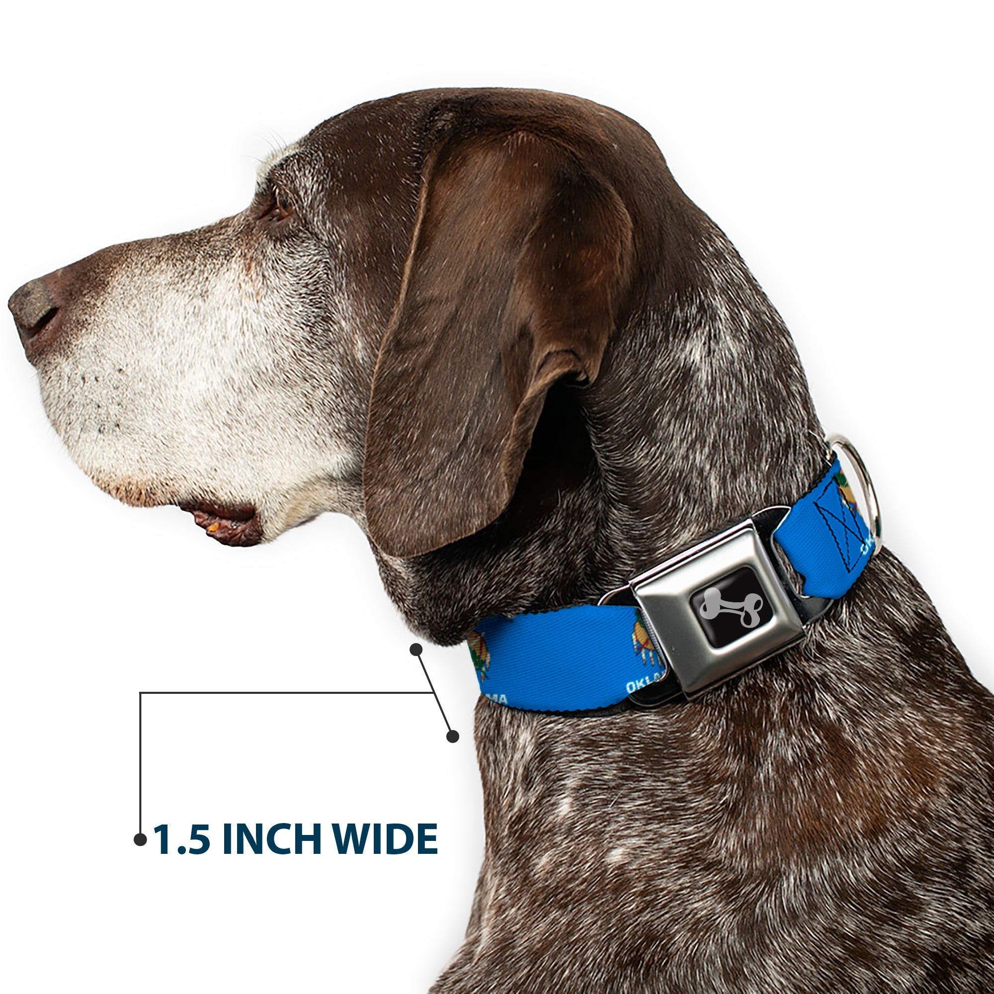 Dog Bone Black/Silver Seatbelt Buckle Collar - Oklahoma State Flag Sky Blue/White Seatbelt Buckle Collars Buckle-Down