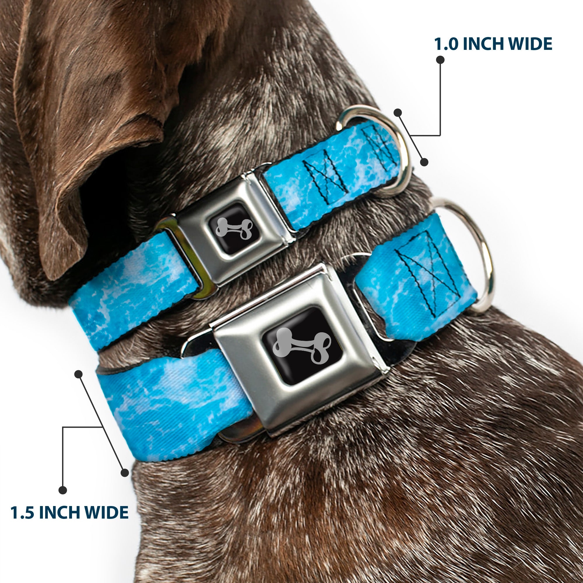 Dog Bone Black/Silver Seatbelt Buckle Collar - Ocean Vivid White Wash Seatbelt Buckle Collars Buckle-Down