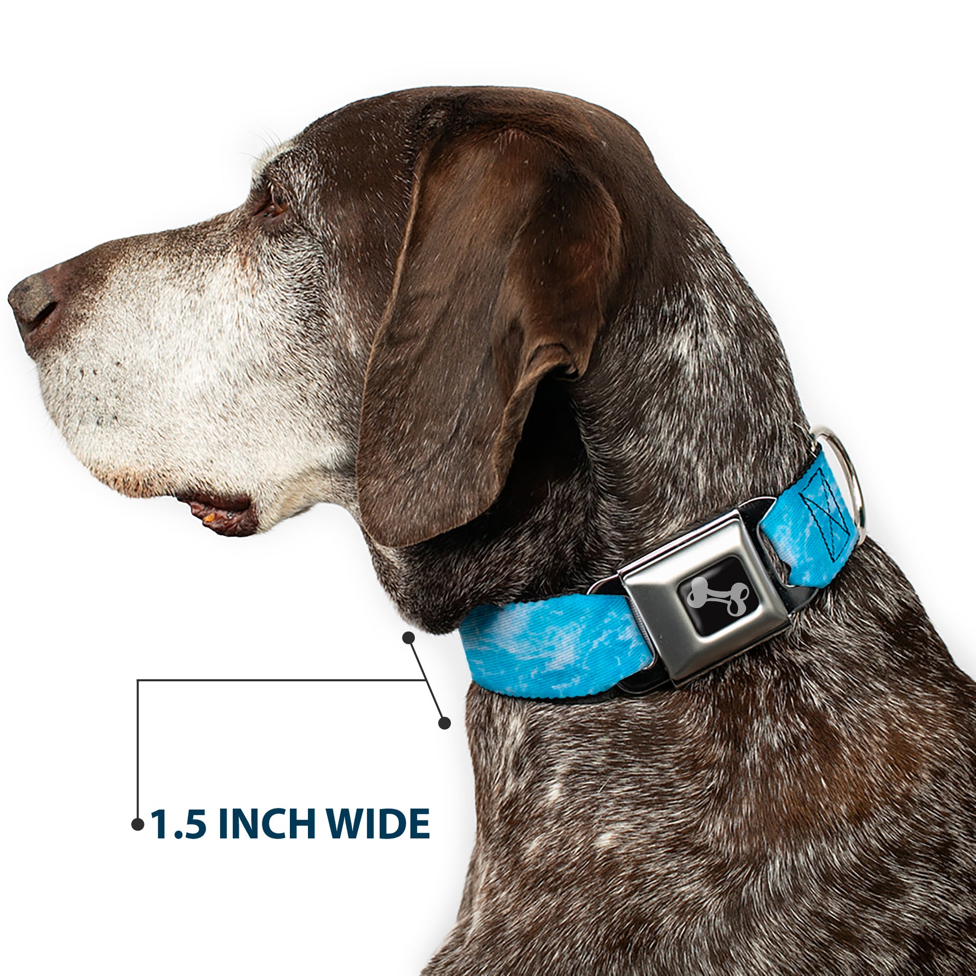 Dog Bone Black/Silver Seatbelt Buckle Collar - Ocean Vivid White Wash Seatbelt Buckle Collars Buckle-Down