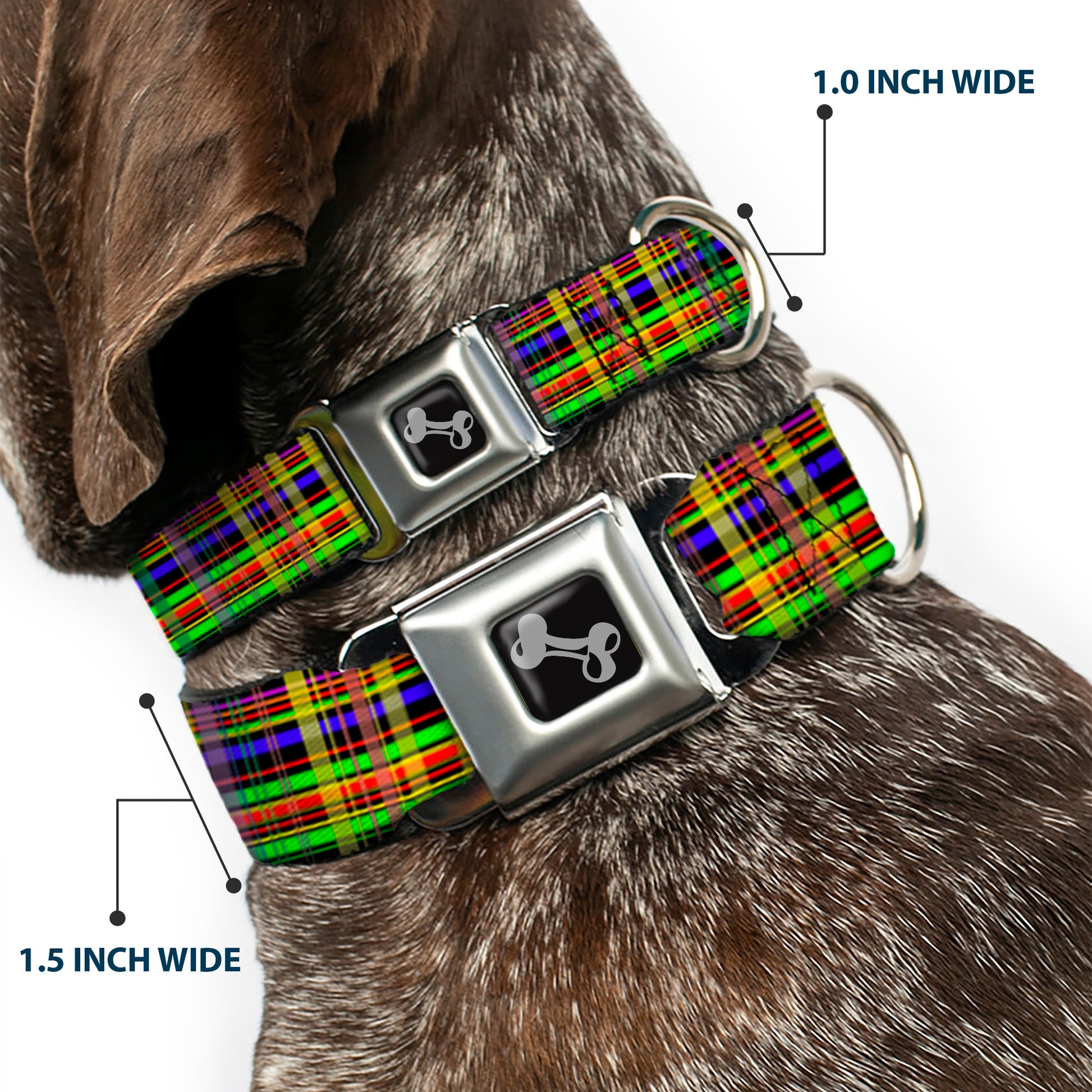 Dog Bone Seatbelt Buckle Collar - Plaid Black/Multi Neon Seatbelt Buckle Collars Buckle-Down