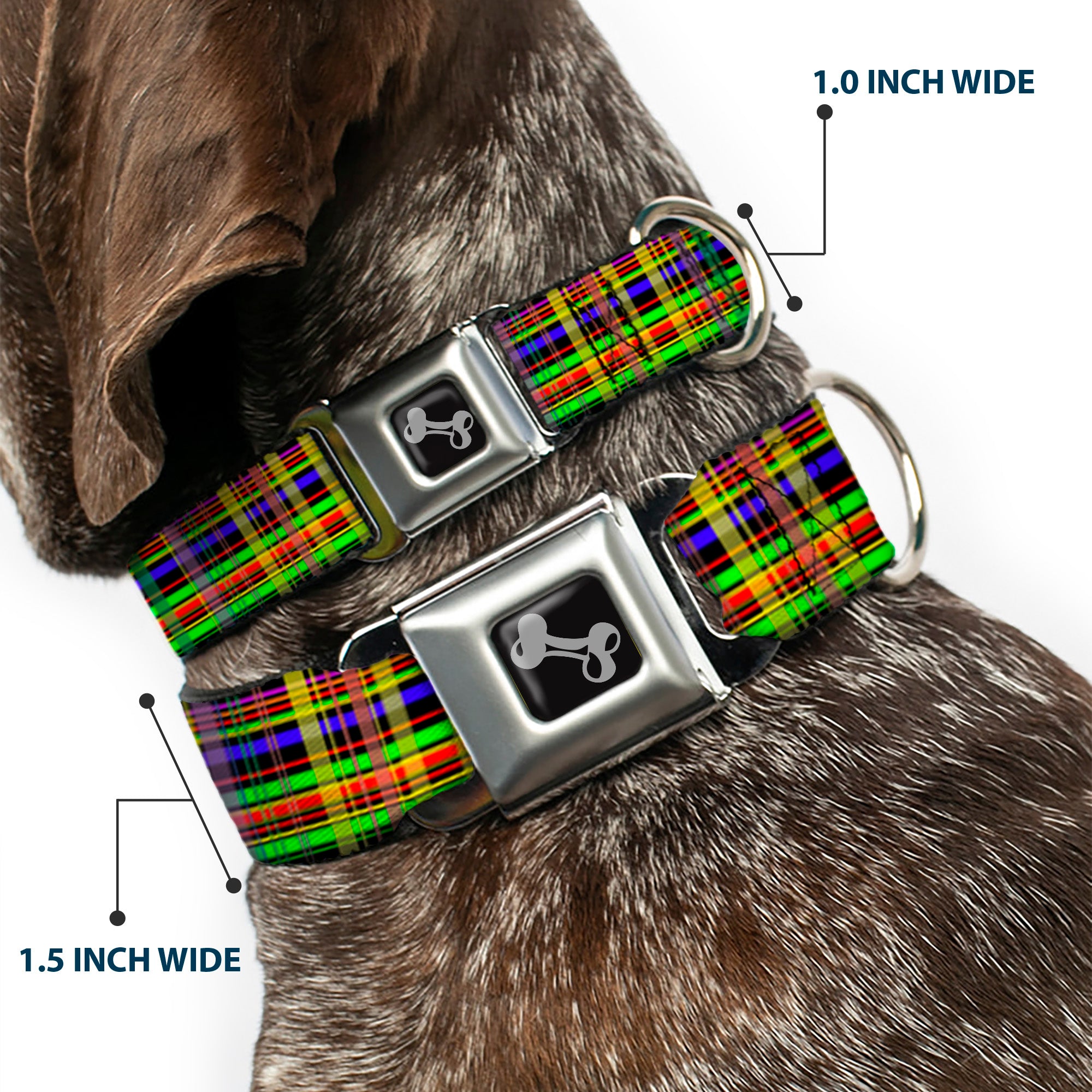 Dog Bone Seatbelt Buckle Collar - Plaid Black/Multi Neon Seatbelt Buckle Collars Buckle-Down