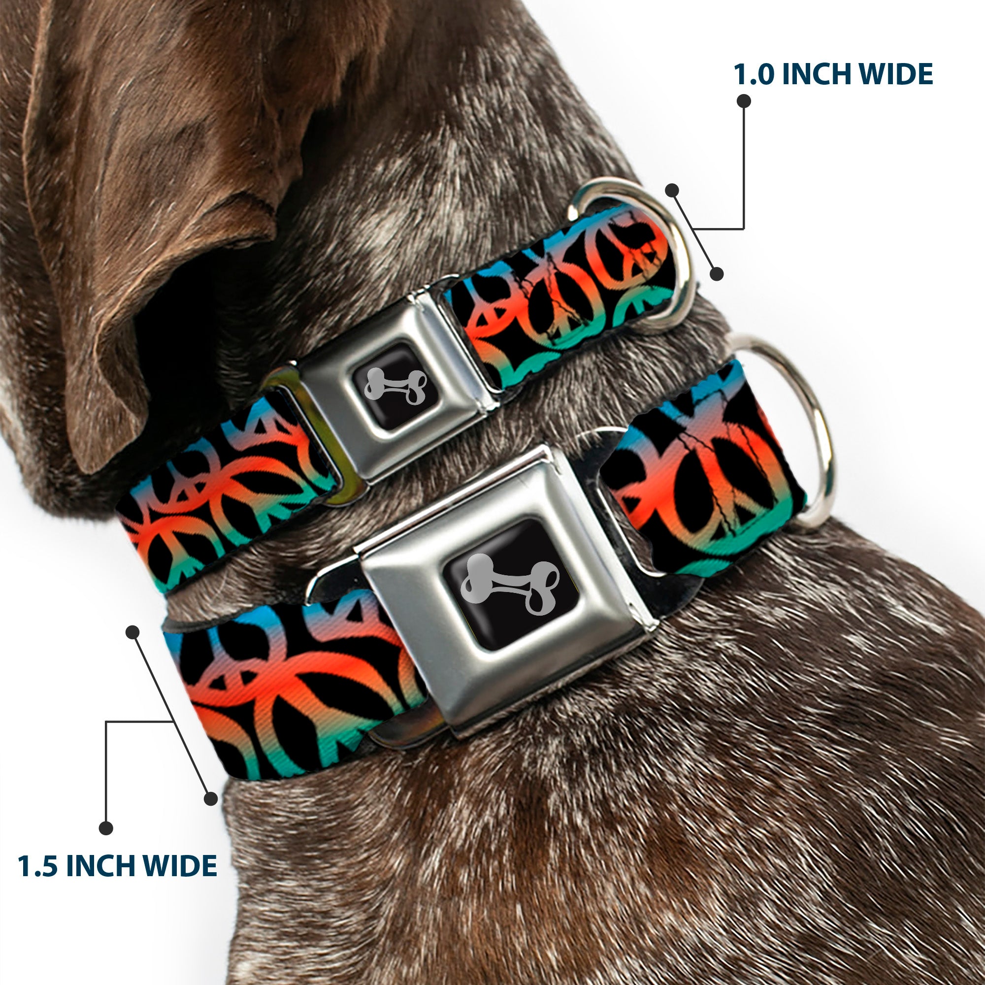 Dog Bone Seatbelt Buckle Collar - Peace Black/Multi Color Seatbelt Buckle Collars Buckle-Down