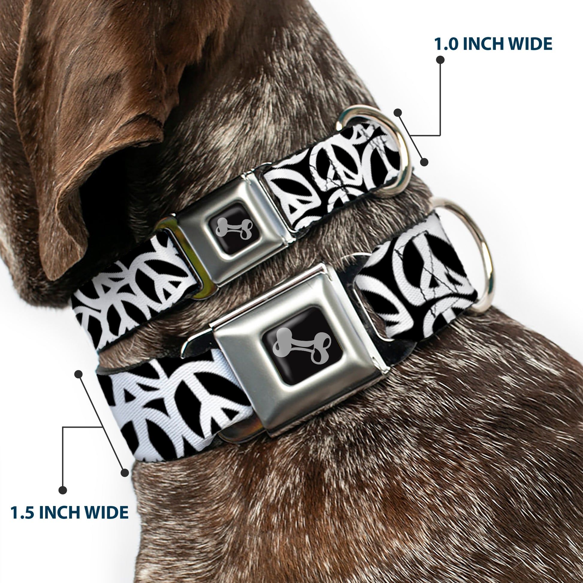 Dog Bone Seatbelt Buckle Collar - Peace Black/White Seatbelt Buckle Collars Buckle-Down