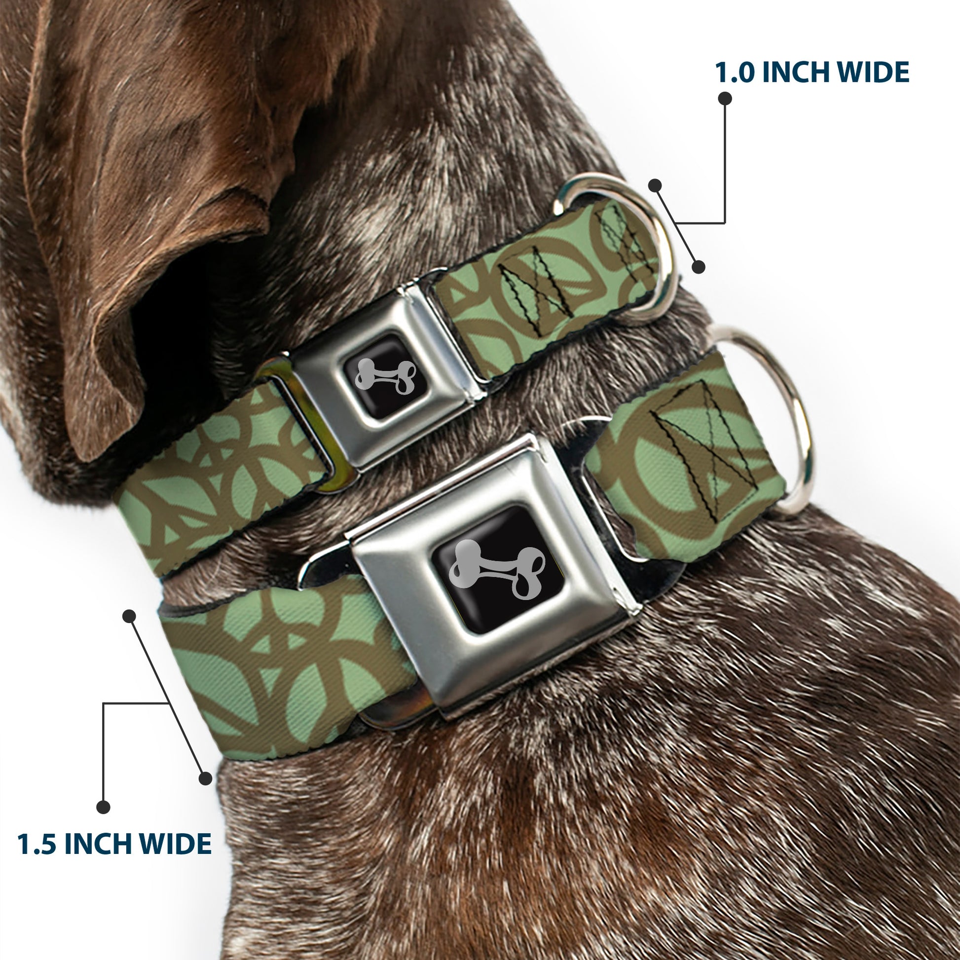 Dog Bone Seatbelt Buckle Collar - Peace Sage/Olive Seatbelt Buckle Collars Buckle-Down