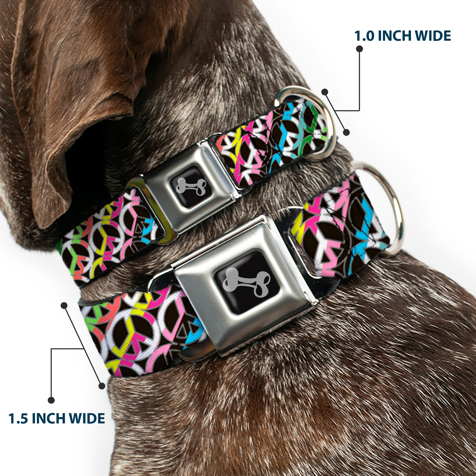 Dog Bone Seatbelt Buckle Collar - Peace Black/Multi Stripes Seatbelt Buckle Collars Buckle-Down