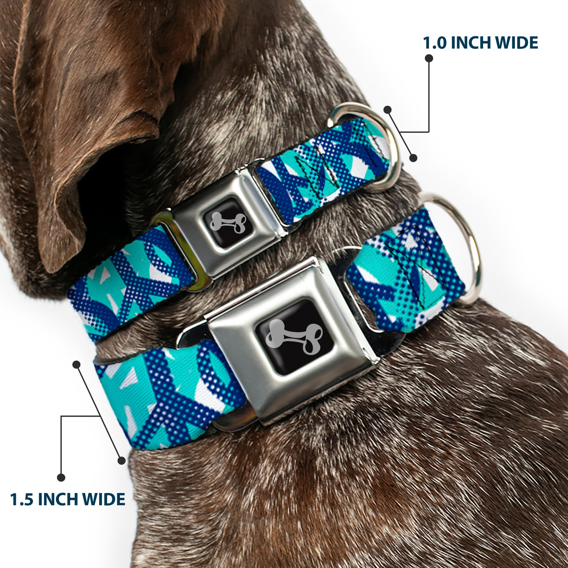 Dog Bone Seatbelt Buckle Collar - Peace Dots White/Blue Seatbelt Buckle Collars Buckle-Down