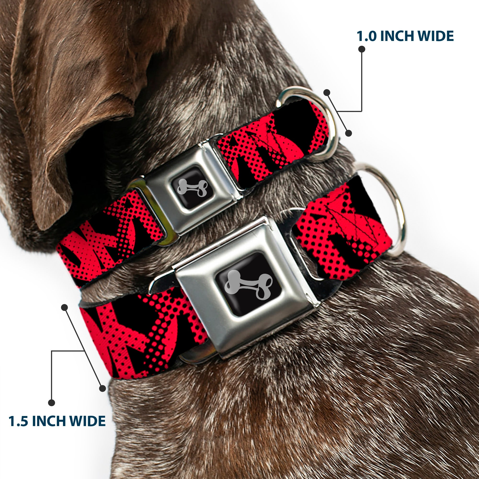 Dog Bone Seatbelt Buckle Collar - Peace Dots Black/Fuchsia Seatbelt Buckle Collars Buckle-Down