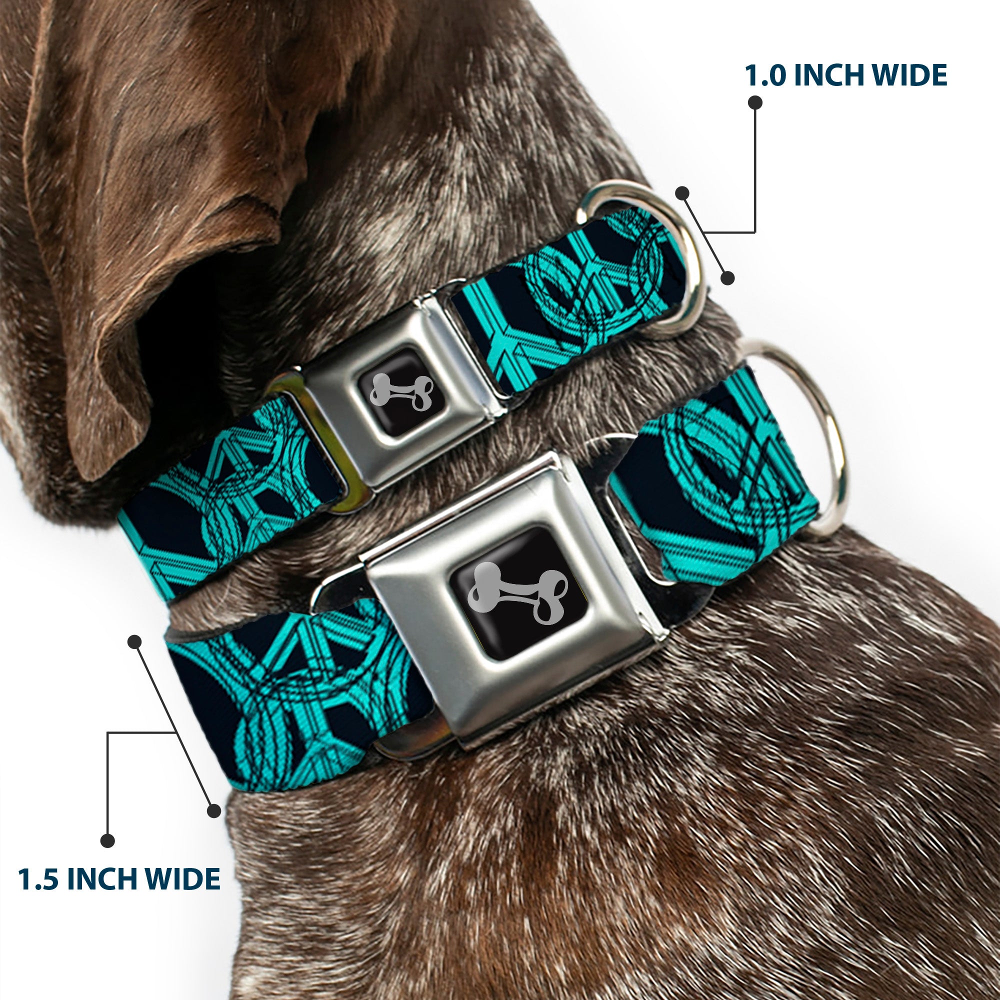 Dog Bone Seatbelt Buckle Collar - Peace Sketch Black/Baby Blue Seatbelt Buckle Collars Buckle-Down