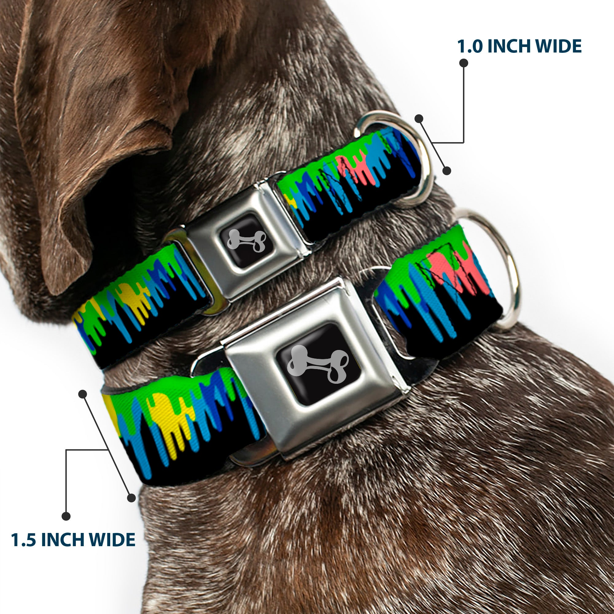 Dog Bone Seatbelt Buckle Collar - Paint Drips Black/Multi Neon Seatbelt Buckle Collars Buckle-Down
