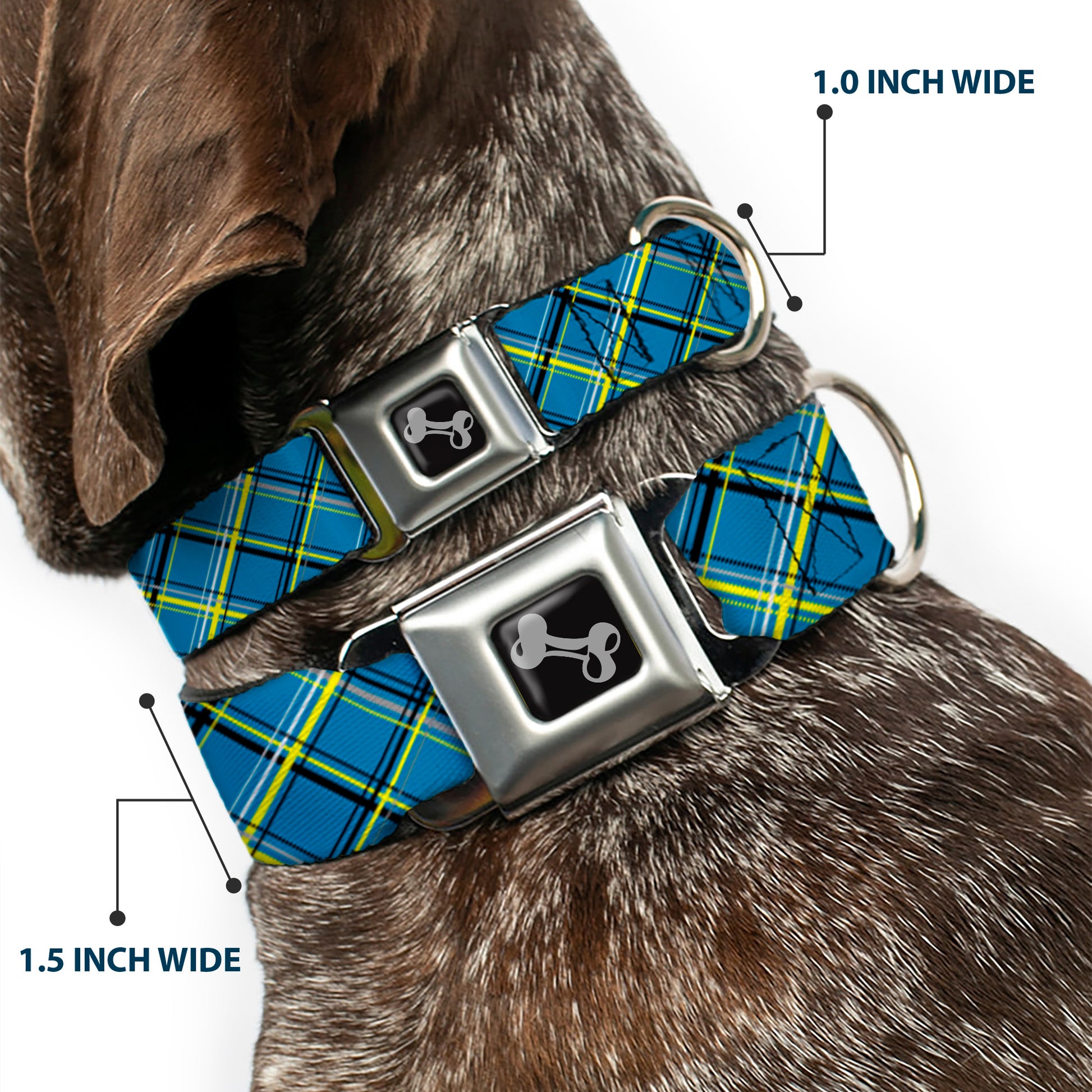 Dog Bone Seatbelt Buckle Collar - Plaid Turquoise/Yellow/Black/Gray Seatbelt Buckle Collars Buckle-Down