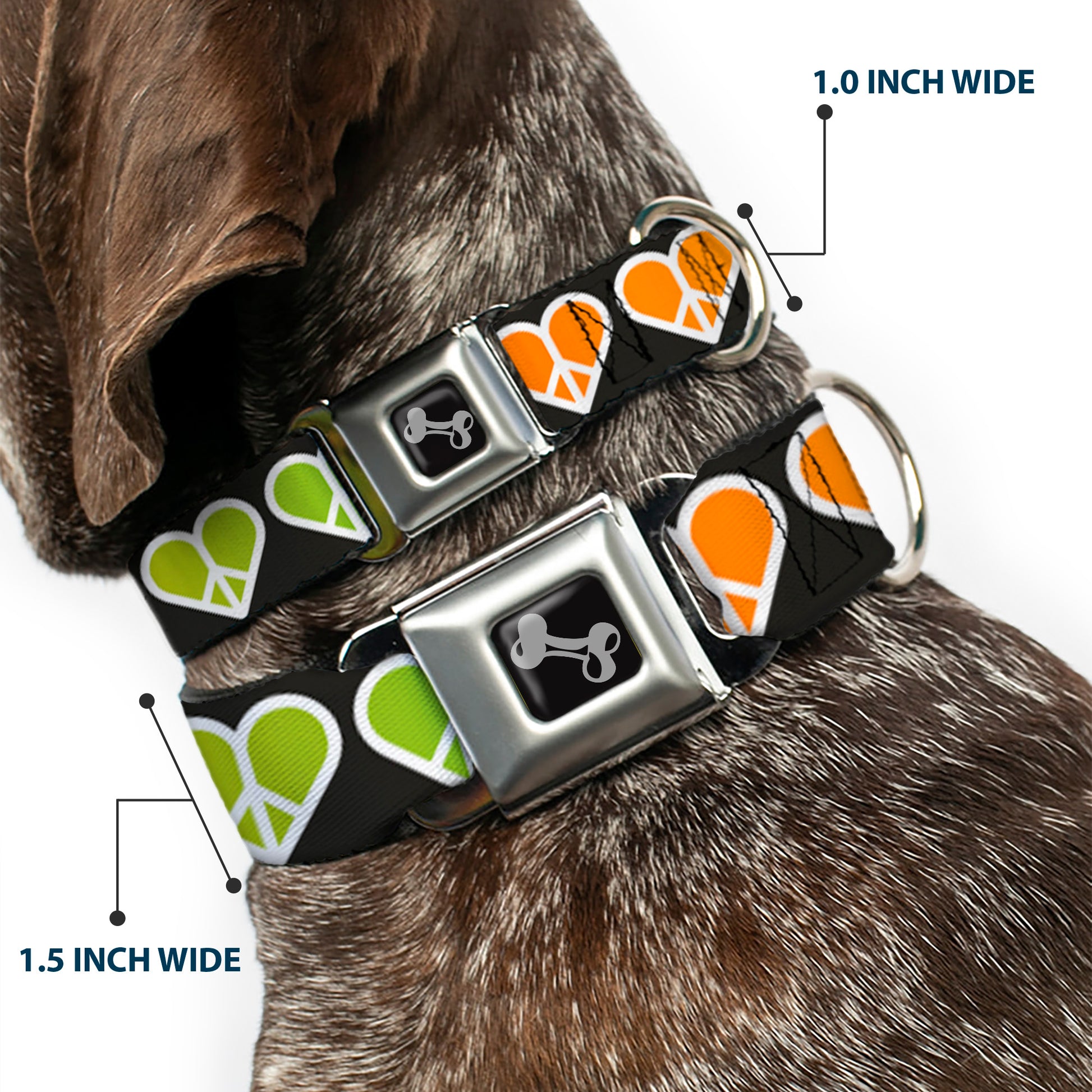 Dog Bone Seatbelt Buckle Collar - Peace Hearts Repeat Fill Black/Rainbow Seatbelt Buckle Collars Buckle-Down
