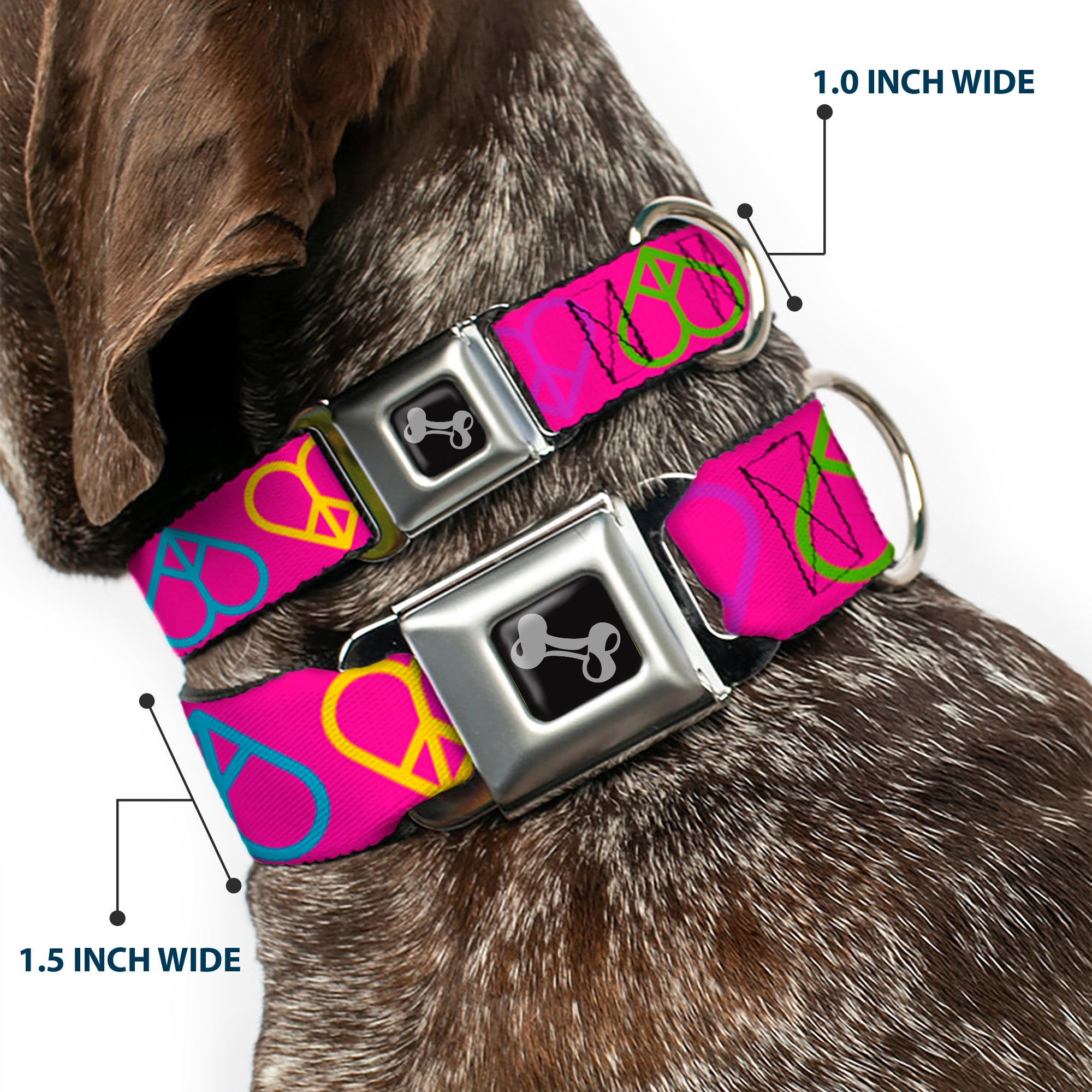 Dog Bone Seatbelt Buckle Collar - Peace Hearts Repeat Fuchsia/Neon Seatbelt Buckle Collars Buckle-Down