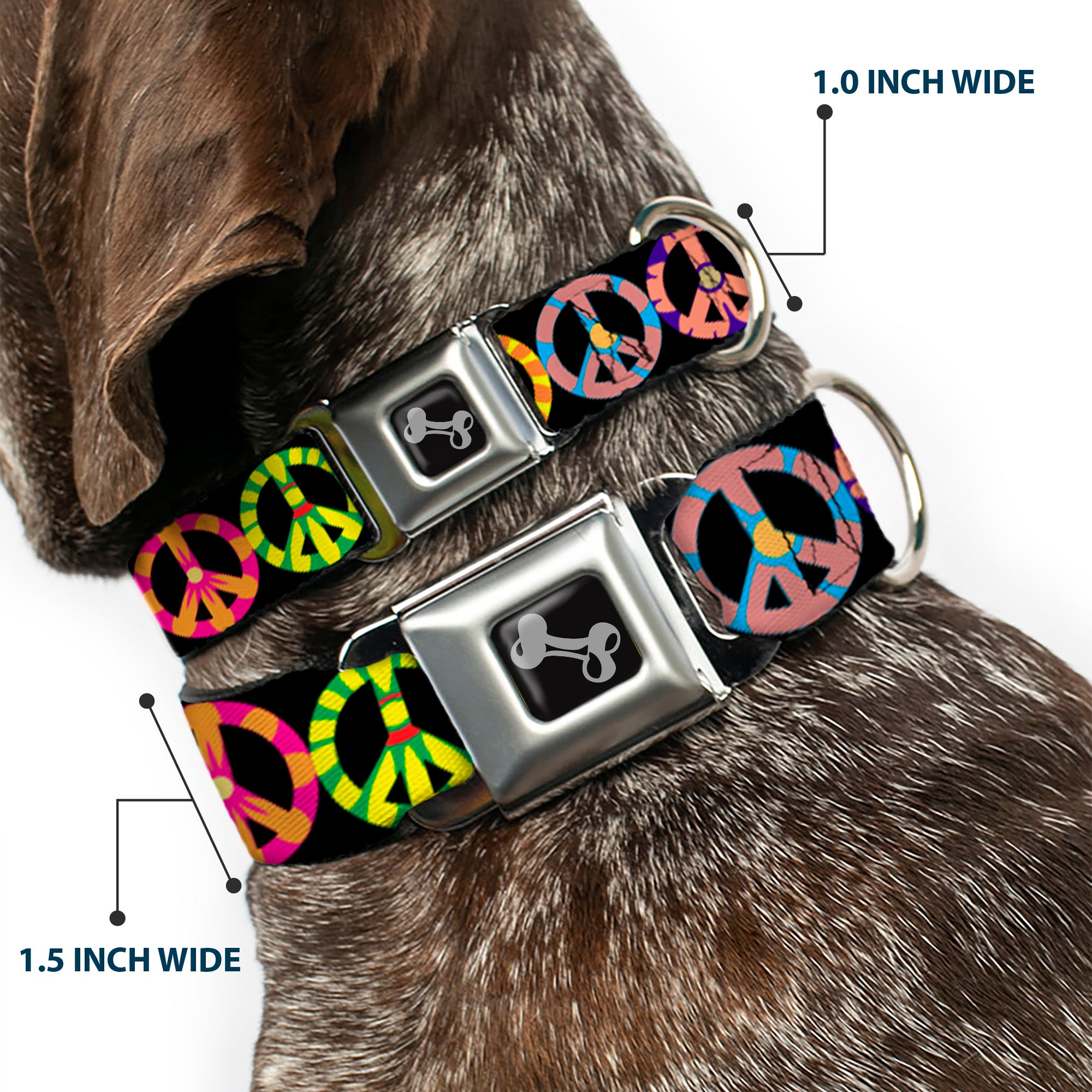 Dog Bone Seatbelt Buckle Collar - Peace Flowers Black/Multi Color Seatbelt Buckle Collars Buckle-Down