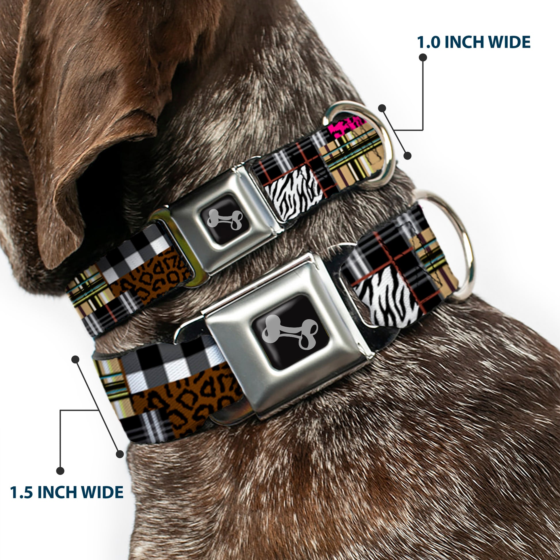 Dog Bone Seatbelt Buckle Collar - Plaid & Animal Skins Seatbelt Buckle Collars Buckle-Down