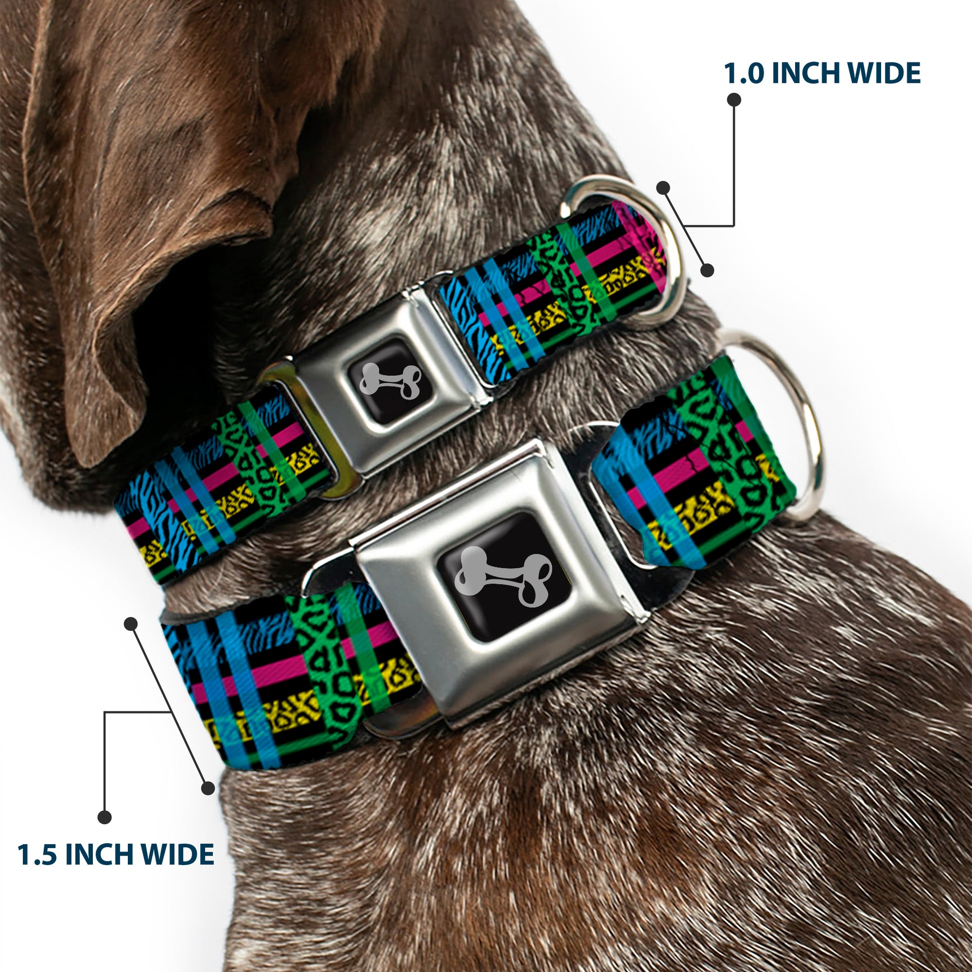 Dog Bone Seatbelt Buckle Collar - Plaid Black/Neon Animal Skins Seatbelt Buckle Collars Buckle-Down