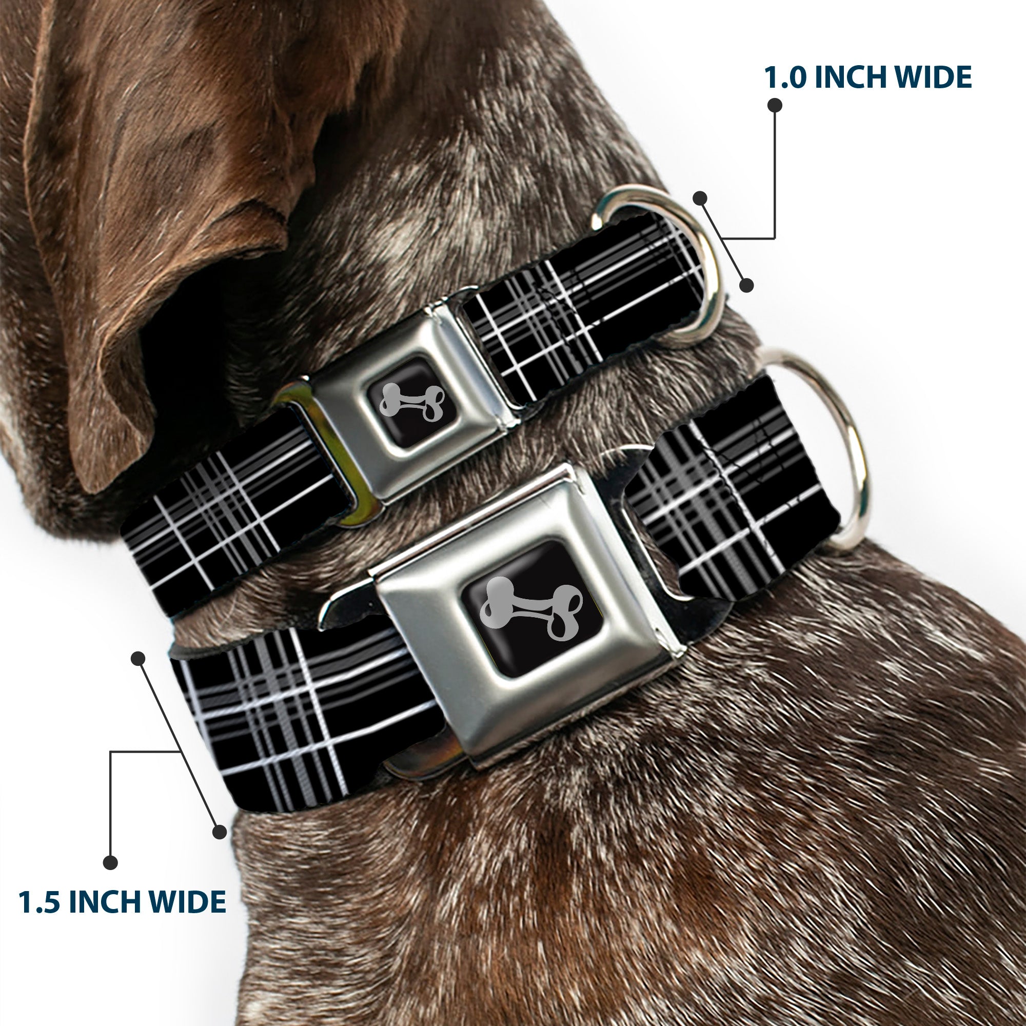 Dog Bone Seatbelt Buckle Collar - Plaid Black/Gray Seatbelt Buckle Collars Buckle-Down