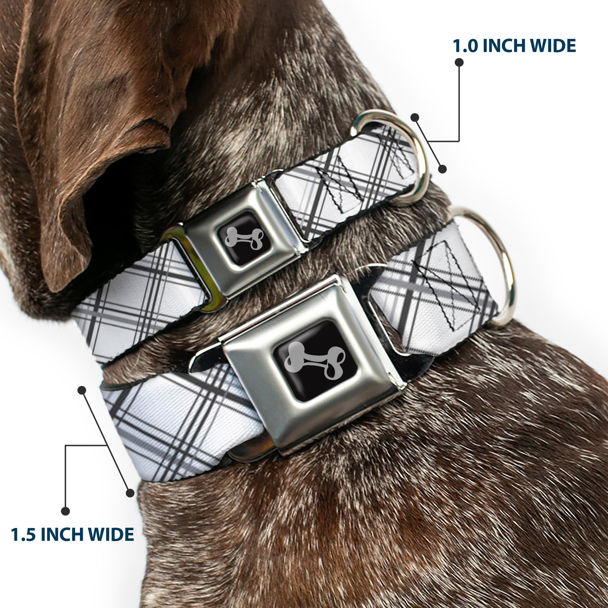 Dog Bone Seatbelt Buckle Collar - Plaid X White/Gray Seatbelt Buckle Collars Buckle-Down