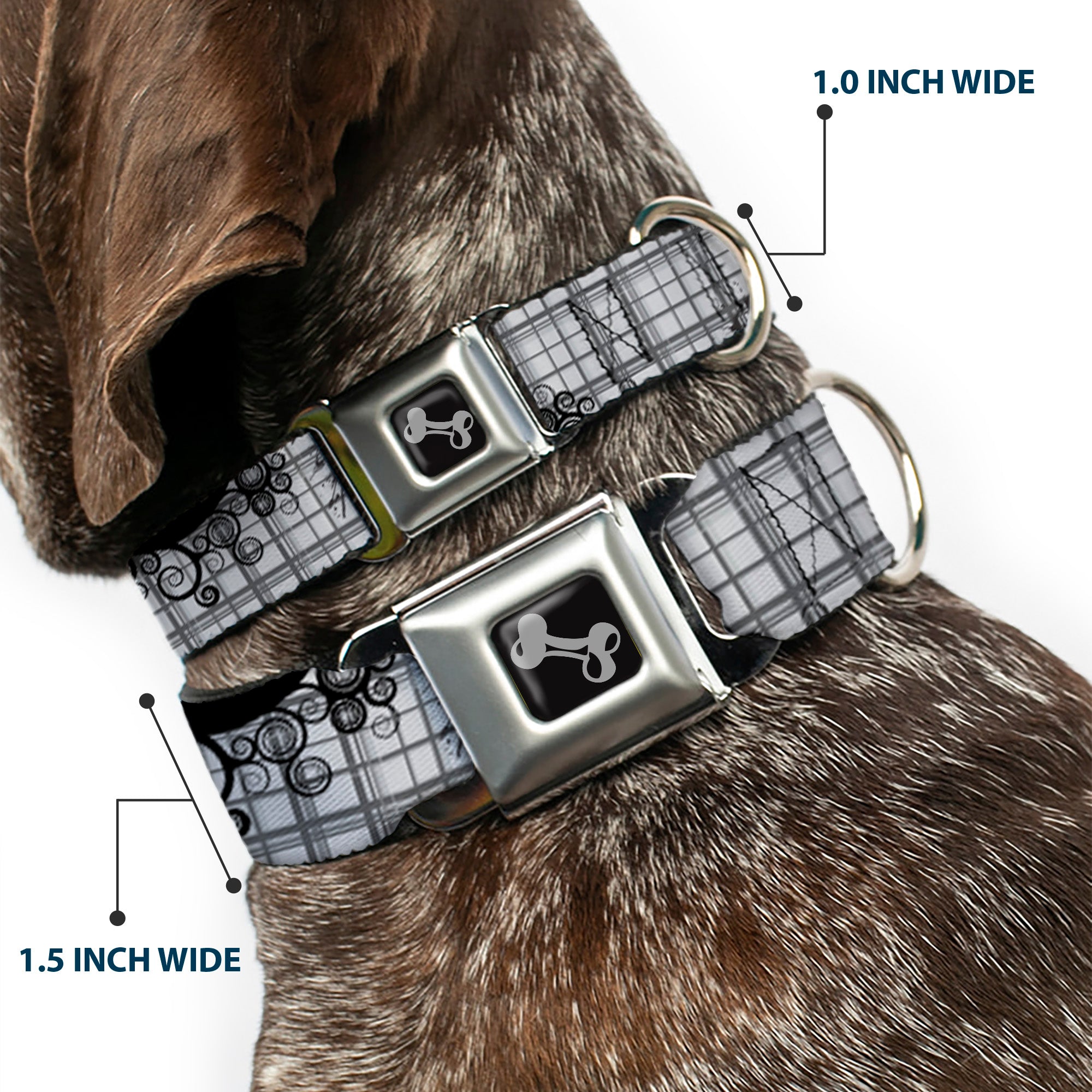 Dog Bone Seatbelt Buckle Collar - Plaid Curls Gray Seatbelt Buckle Collars Buckle-Down
