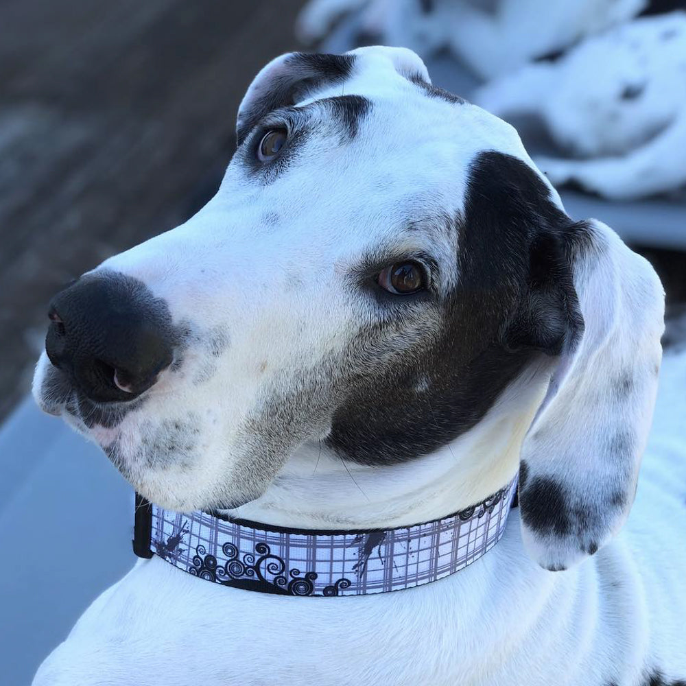 Dog Bone Seatbelt Buckle Collar - Plaid Curls Gray Seatbelt Buckle Collars Buckle-Down