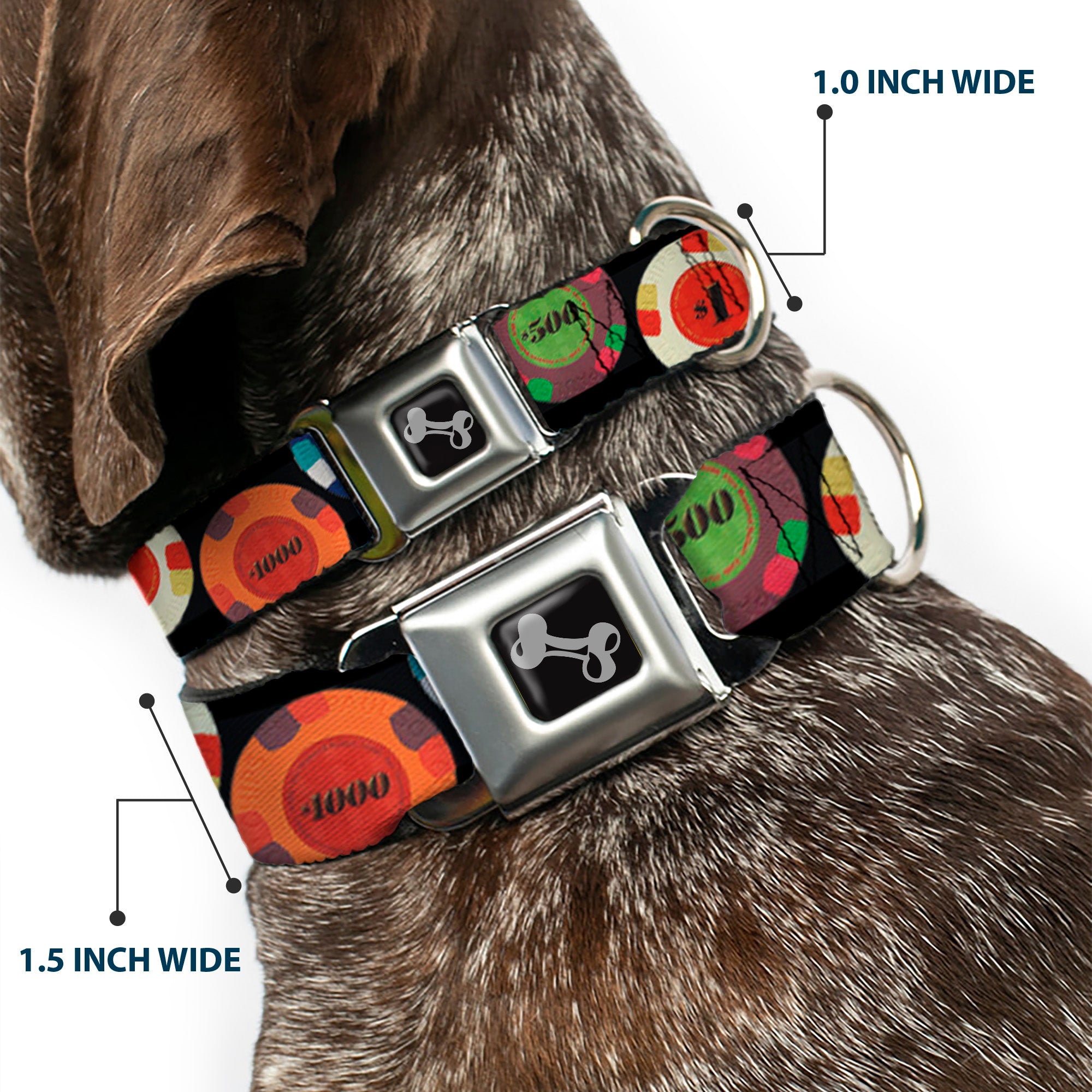 Dog Bone Seatbelt Buckle Collar - Poker Chips 2 Seatbelt Buckle Collars Buckle-Down