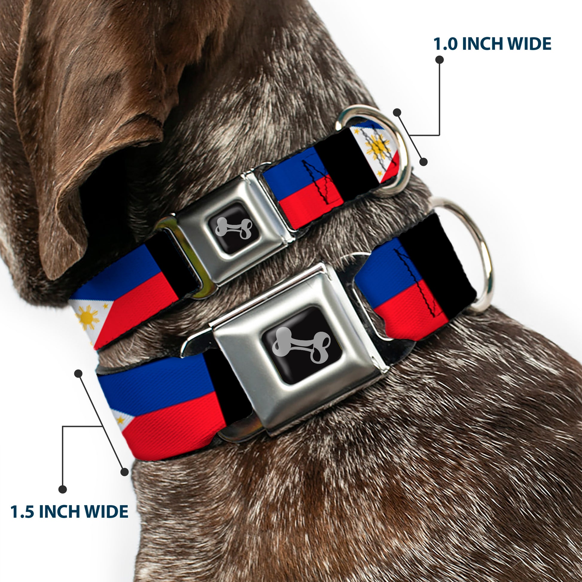 Dog Bone Seatbelt Buckle Collar - Philippines Flags Seatbelt Buckle Collars Buckle-Down