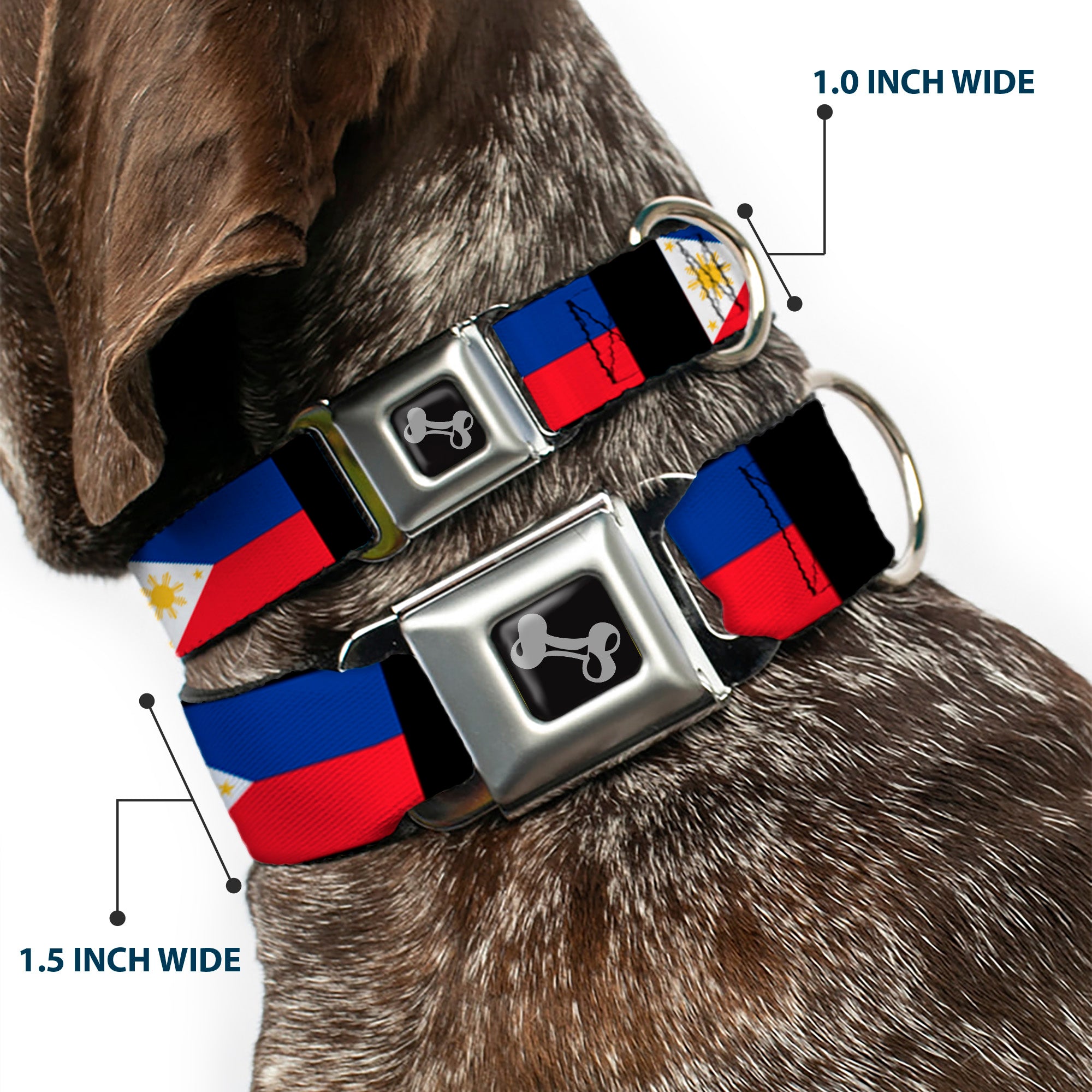 Dog Bone Seatbelt Buckle Collar - Philippines Flags Seatbelt Buckle Collars Buckle-Down