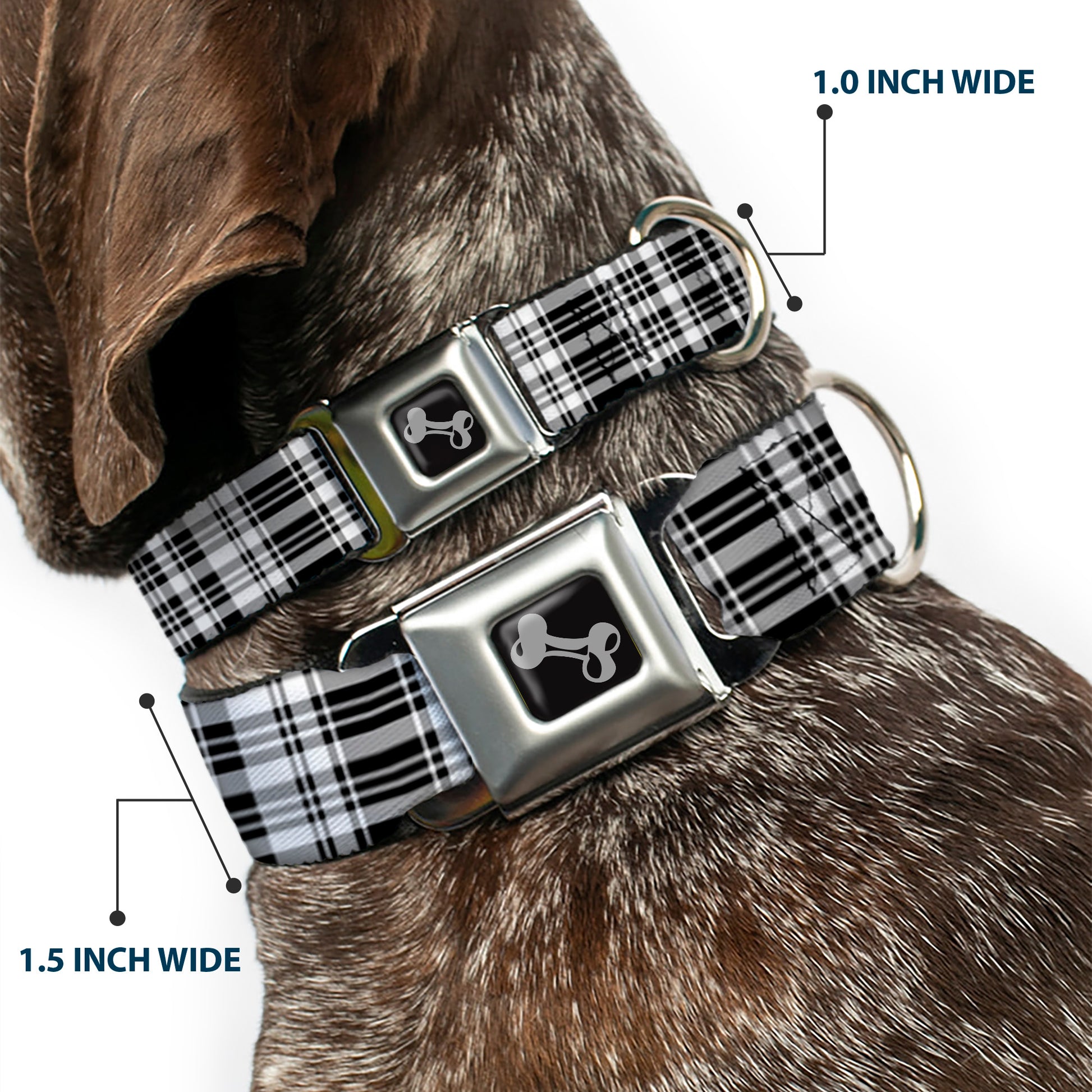 Dog Bone Seatbelt Buckle Collar - Plaid Black/White Seatbelt Buckle Collars Buckle-Down