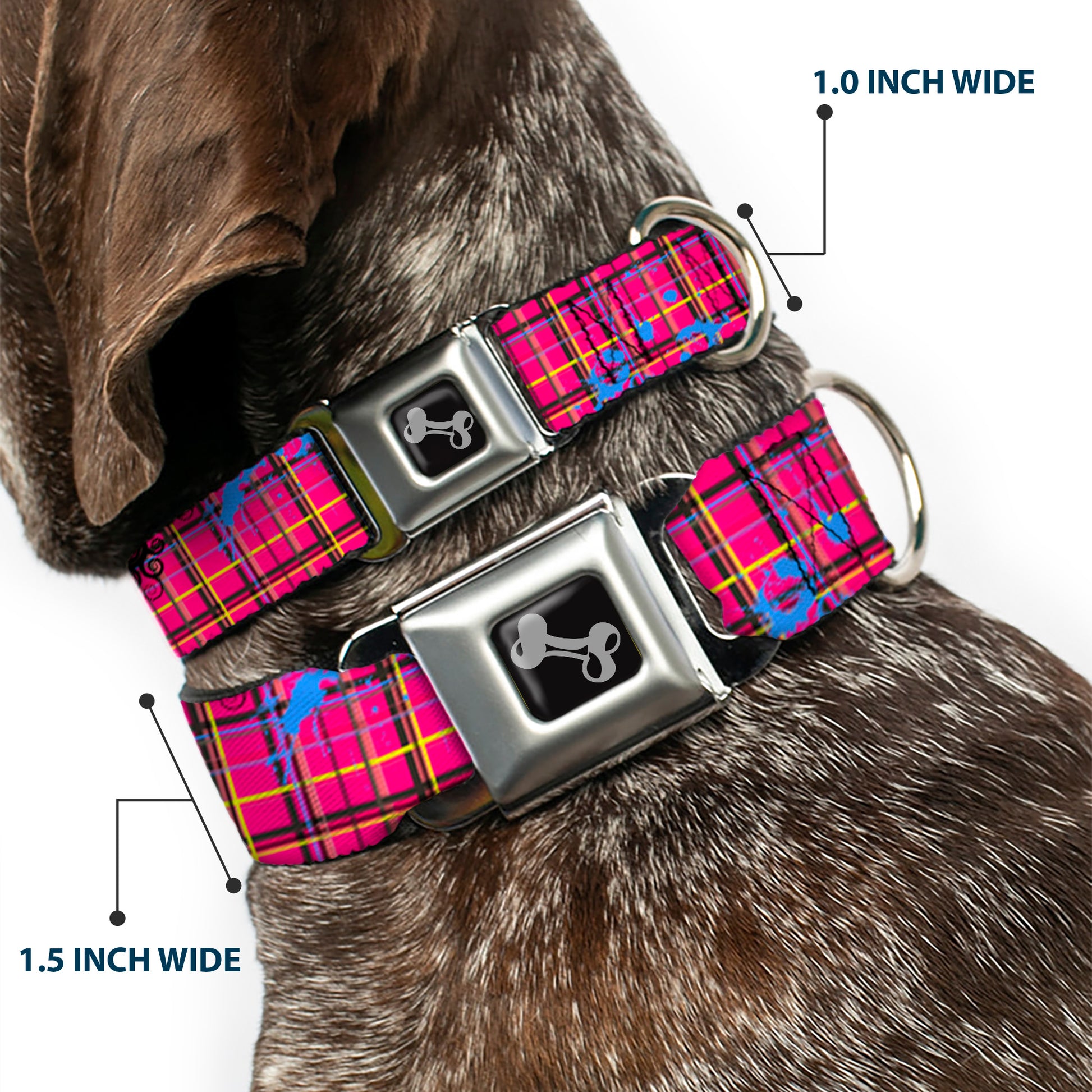 Dog Bone Seatbelt Buckle Collar - Plaid Curls Pink/Black/Yellow/Blue Seatbelt Buckle Collars Buckle-Down