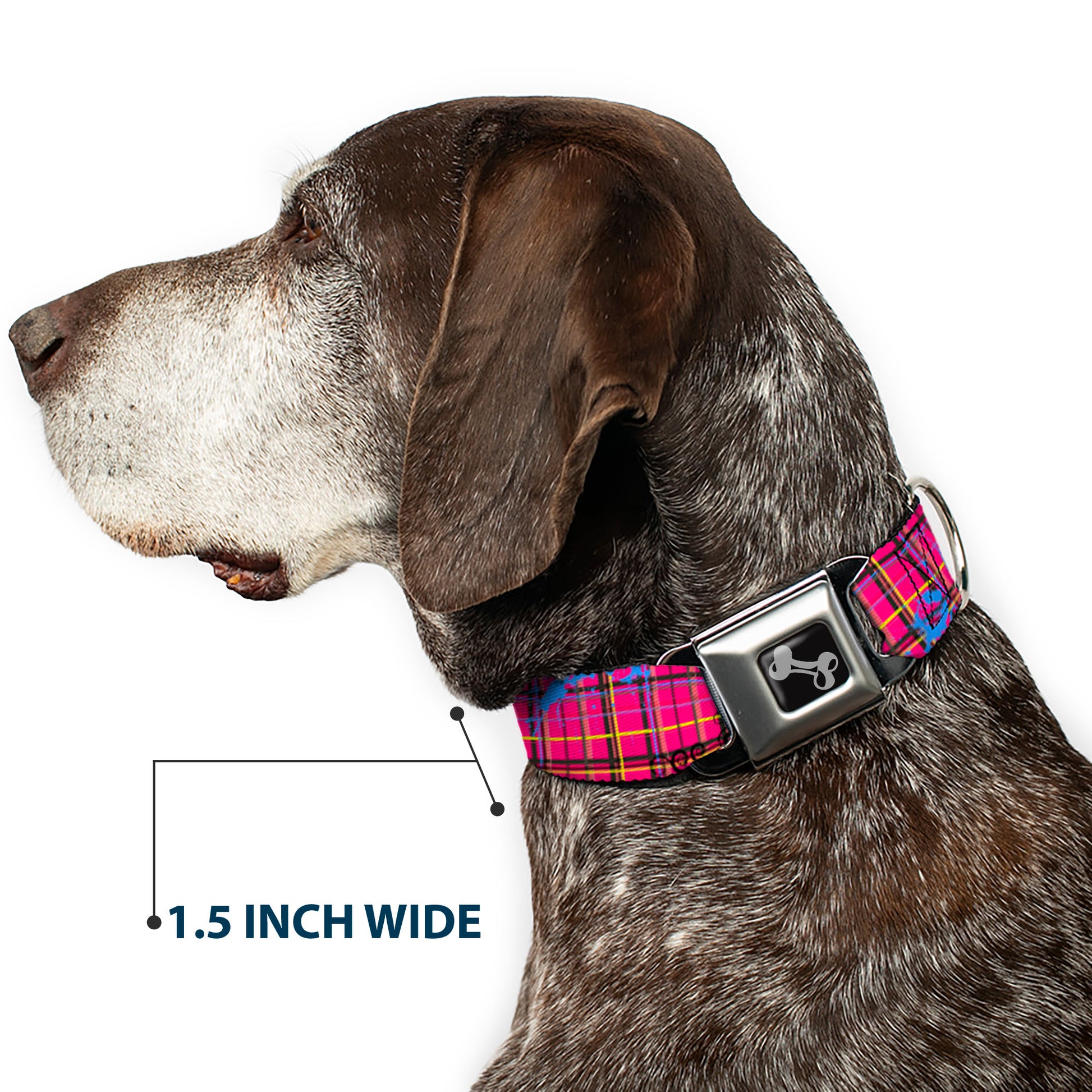 Dog Bone Seatbelt Buckle Collar - Plaid Curls Pink/Black/Yellow/Blue Seatbelt Buckle Collars Buckle-Down