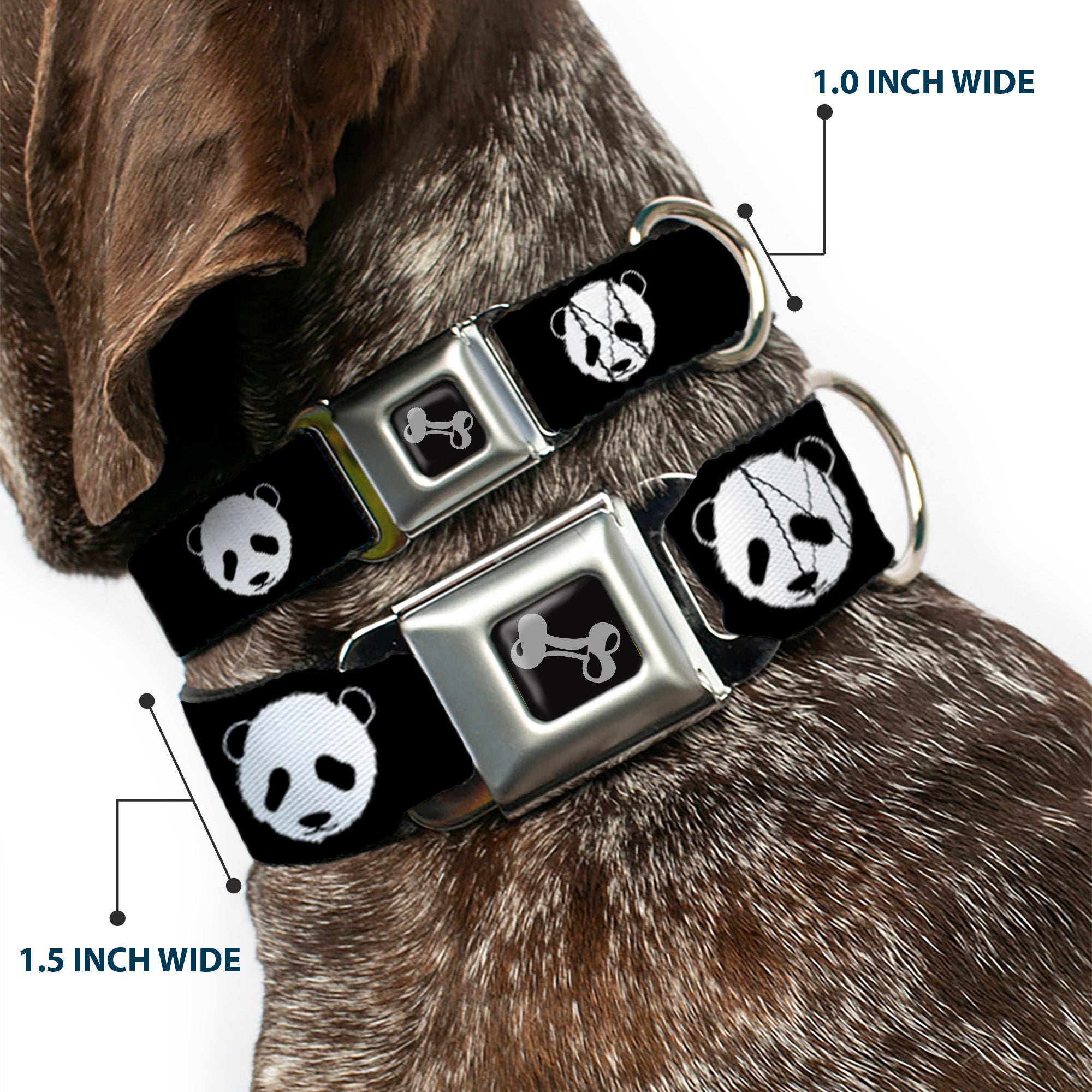 Dog Bone Seatbelt Buckle Collar - Panda Bear Repeat Seatbelt Buckle Collars Buckle-Down