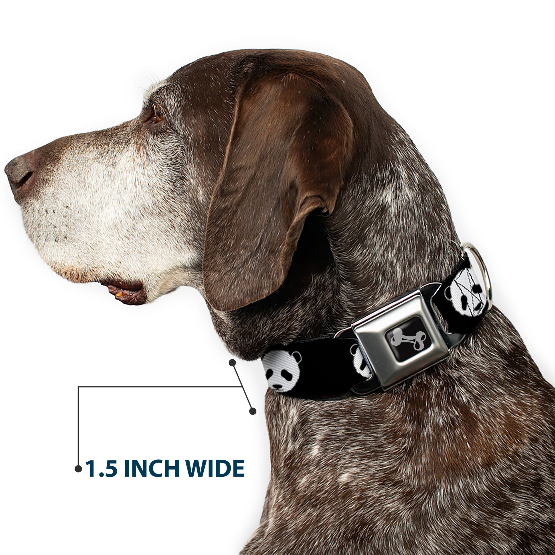 Dog Bone Seatbelt Buckle Collar - Panda Bear Repeat Seatbelt Buckle Collars Buckle-Down