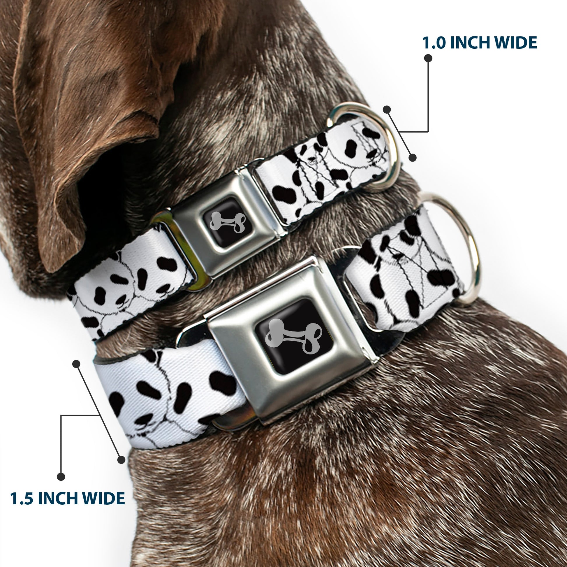 Dog Bone Seatbelt Buckle Collar - Panda Bear Stacked Seatbelt Buckle Collars Buckle-Down