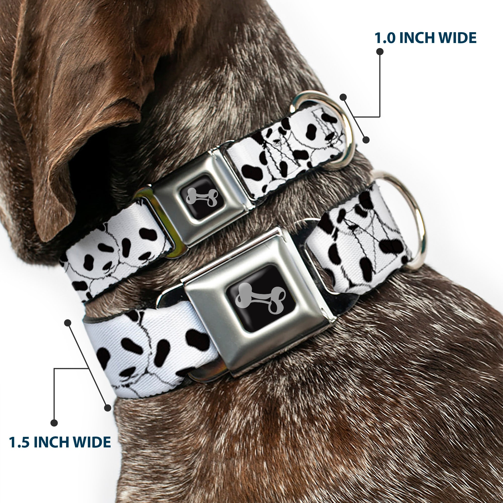 Dog Bone Seatbelt Buckle Collar - Panda Bear Stacked Seatbelt Buckle Collars Buckle-Down