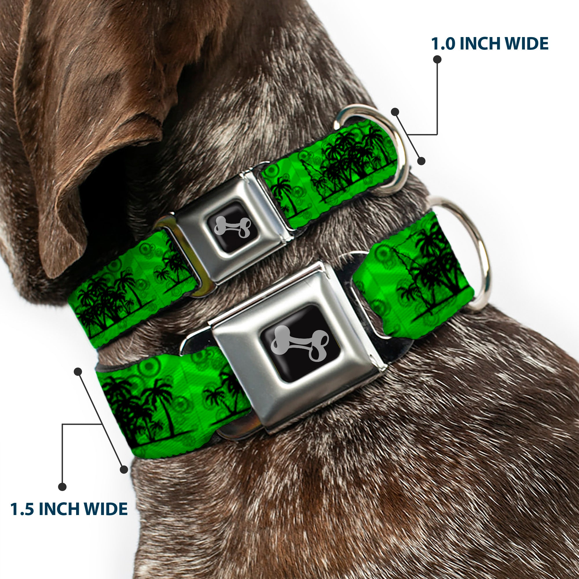 Dog Bone Seatbelt Buckle Collar - Palm Trees/Rings Greens/Blacks Seatbelt Buckle Collars Buckle-Down