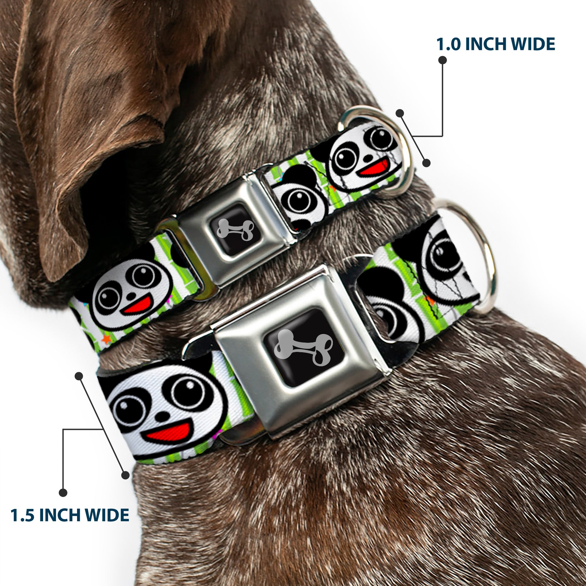 Dog Bone Seatbelt Buckle Collar - Panda Bear Cartoon Bamboo Seatbelt Buckle Collars Buckle-Down