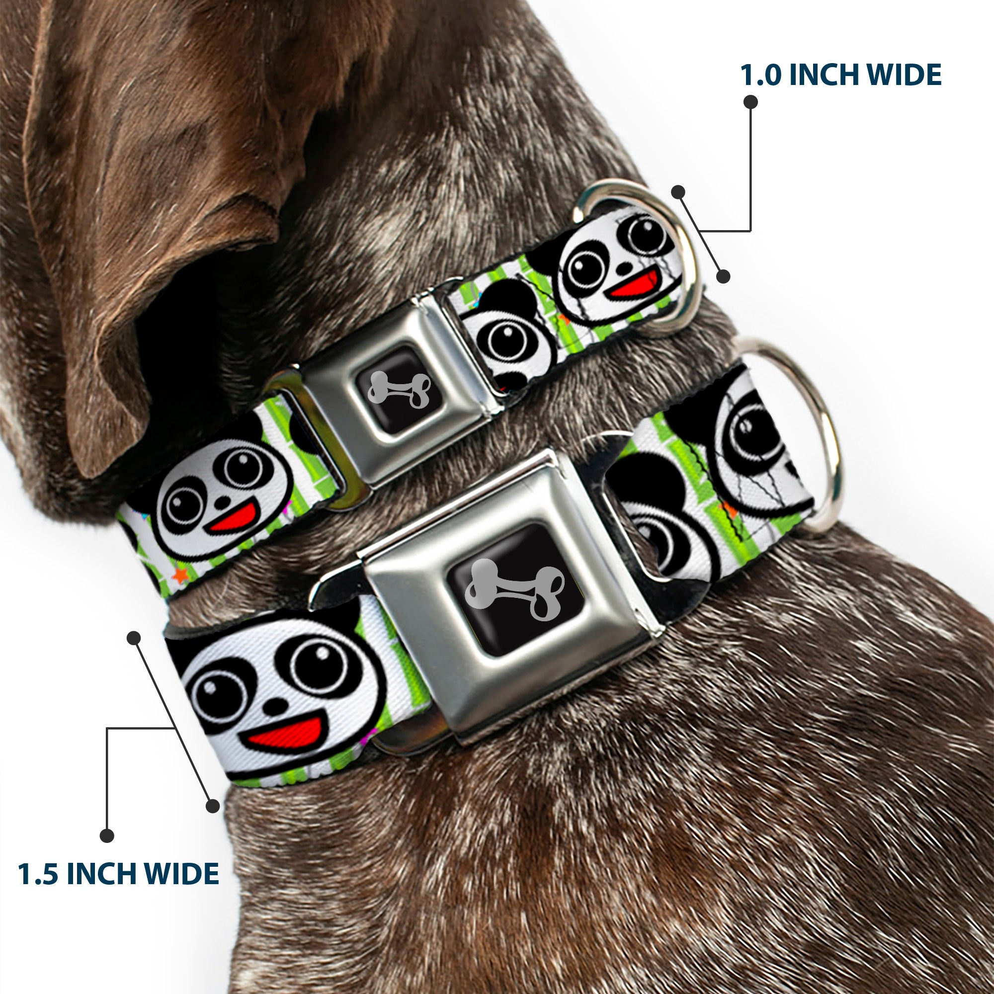 Dog Bone Seatbelt Buckle Collar - Panda Bear Cartoon Bamboo Seatbelt Buckle Collars Buckle-Down
