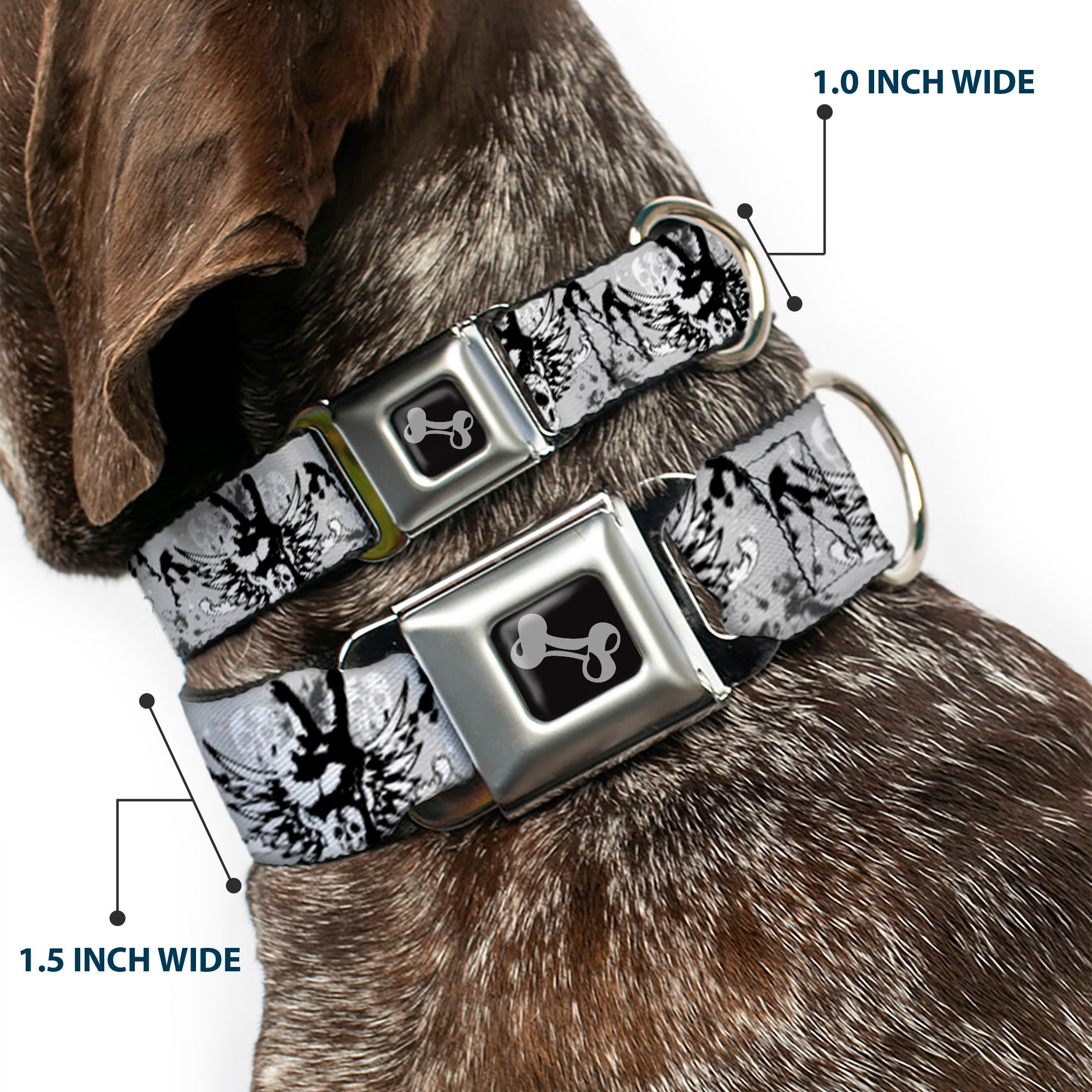 Dog Bone Seatbelt Buckle Collar - Peace w/Wings Gray Seatbelt Buckle Collars Buckle-Down