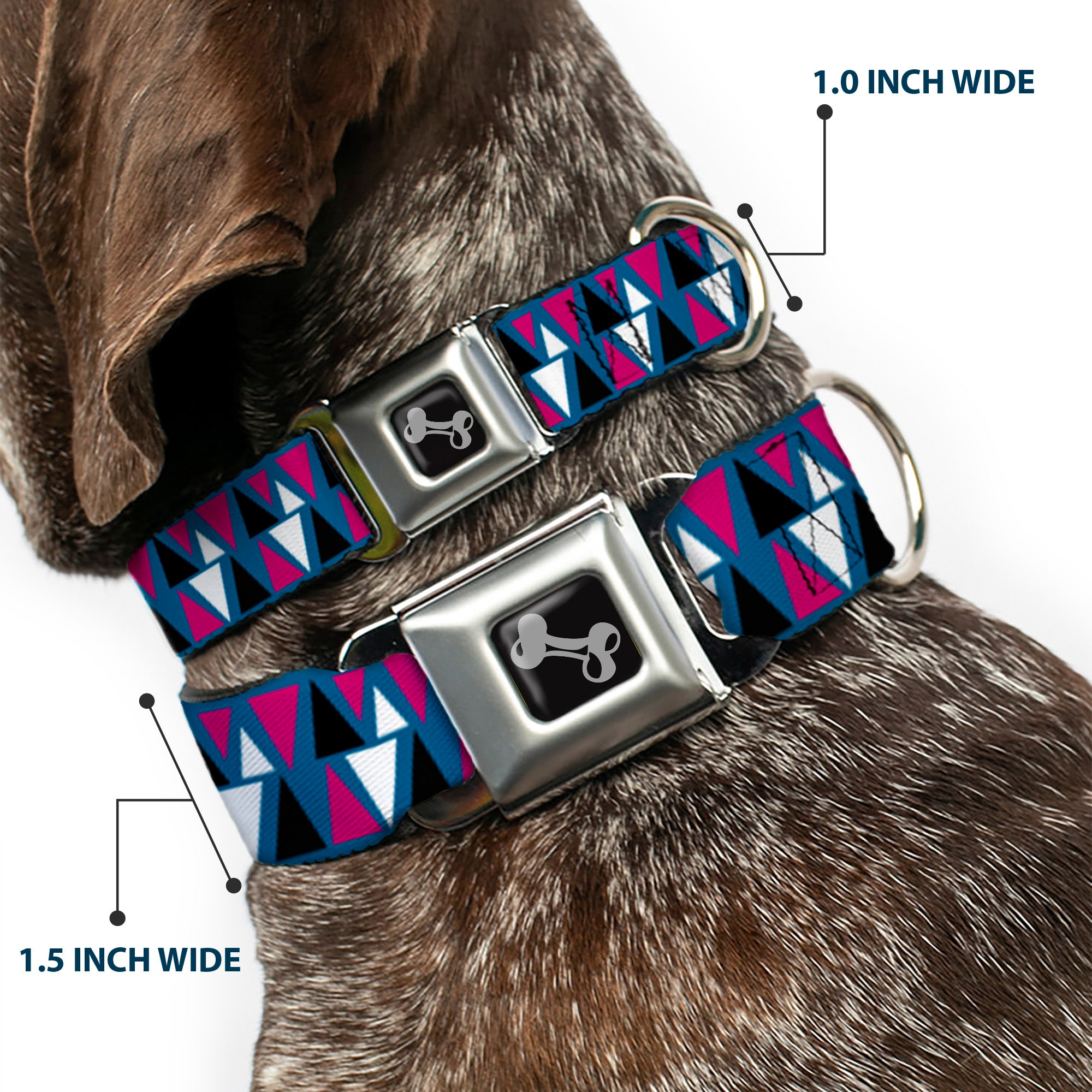 Dog Bone Seatbelt Buckle Collar - Peaks Turquoise/Fuchsia/Black/White Seatbelt Buckle Collars Buckle-Down