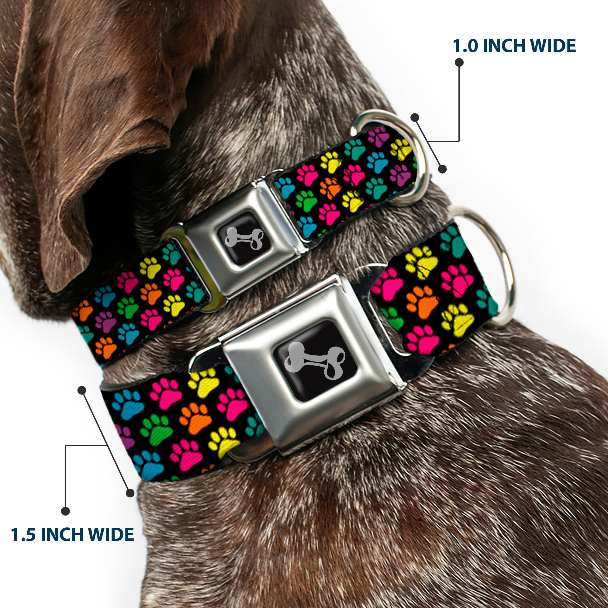 Dog Bone Seatbelt Buckle Collar - Paw Print Black/Multi Color Seatbelt Buckle Collars Buckle-Down