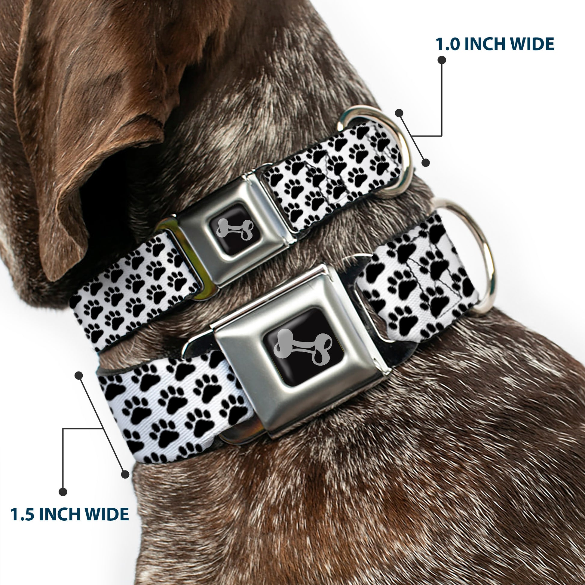Dog Bone Seatbelt Buckle Collar - Paw Print White/Black Seatbelt Buckle Collars Buckle-Down